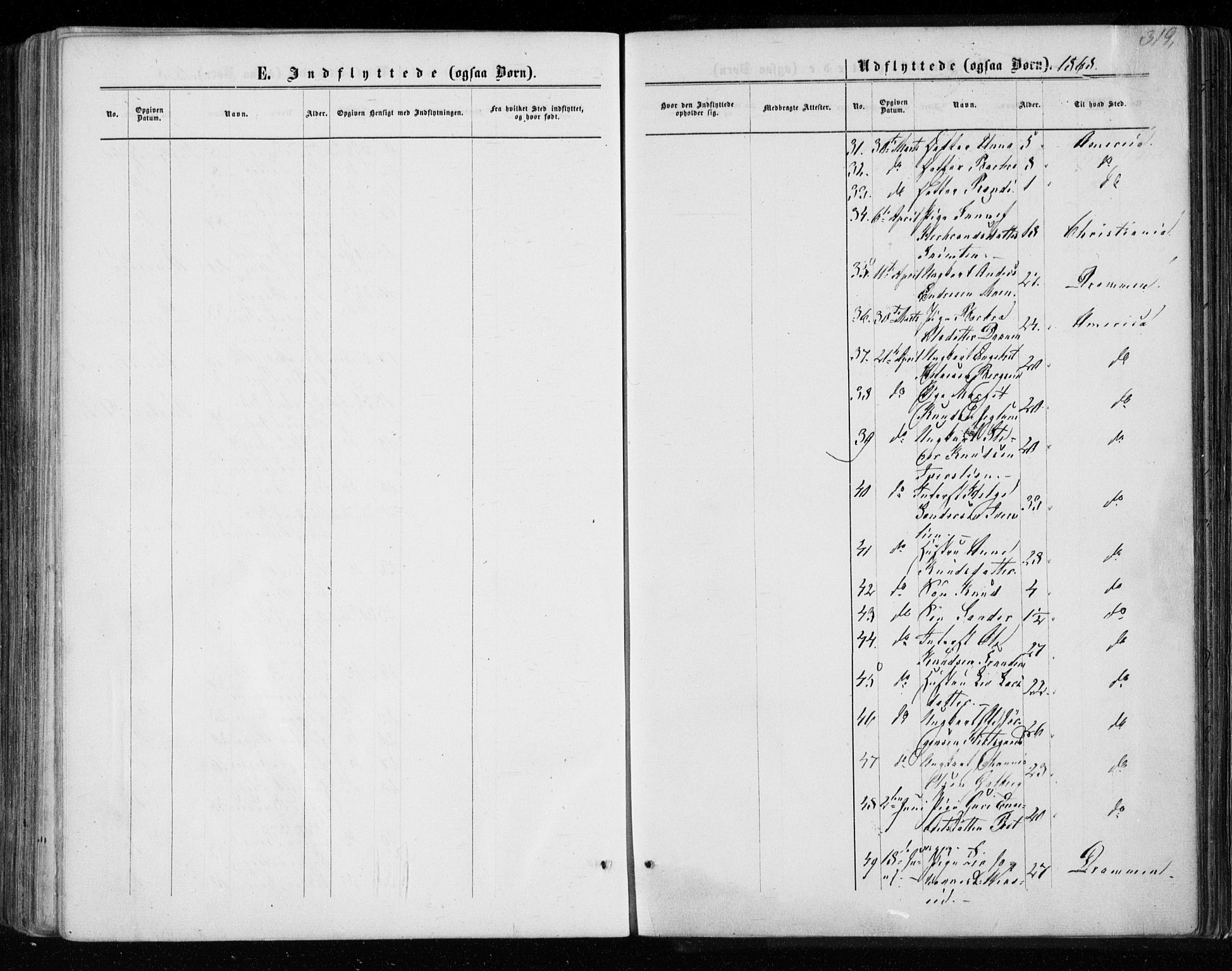 Gol kirkebøker, AV/SAKO-A-226/F/Fa/L0003: Parish register (official) no. I 3, 1863-1875, p. 319