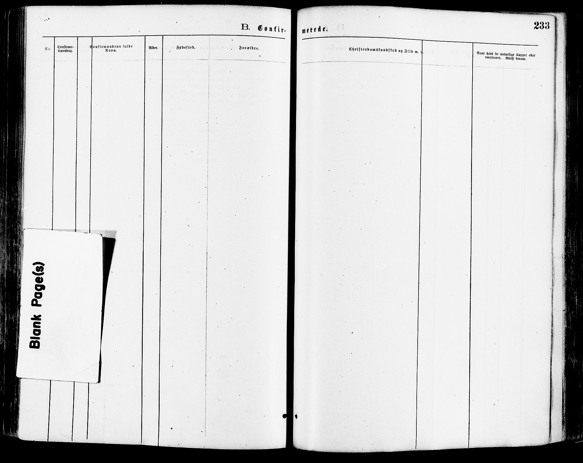 Nord-Odal prestekontor, SAH/PREST-032/H/Ha/Haa/L0005: Parish register (official) no. 5, 1874-1885, p. 233