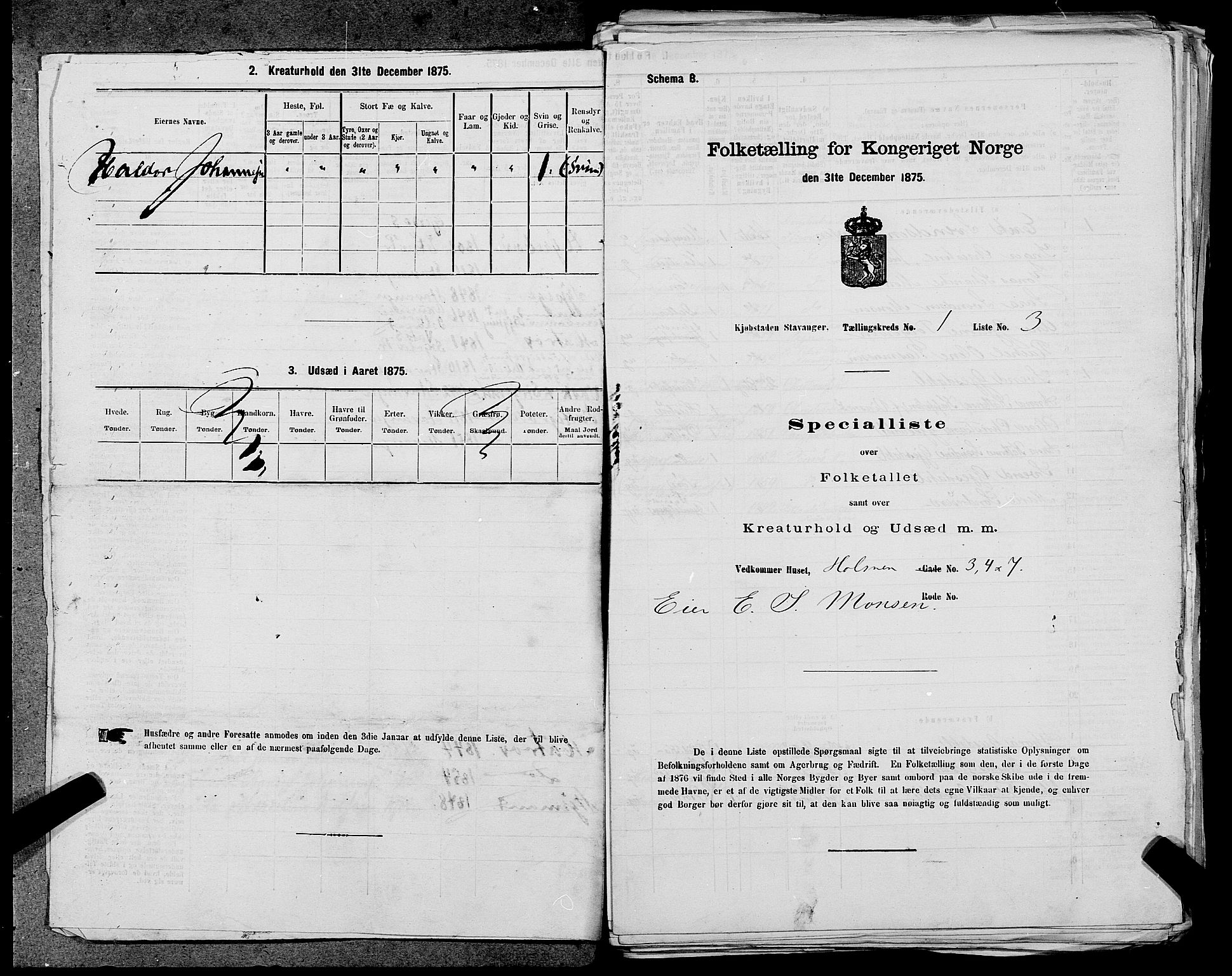 SAST, 1875 census for 1103 Stavanger, 1875, p. 5