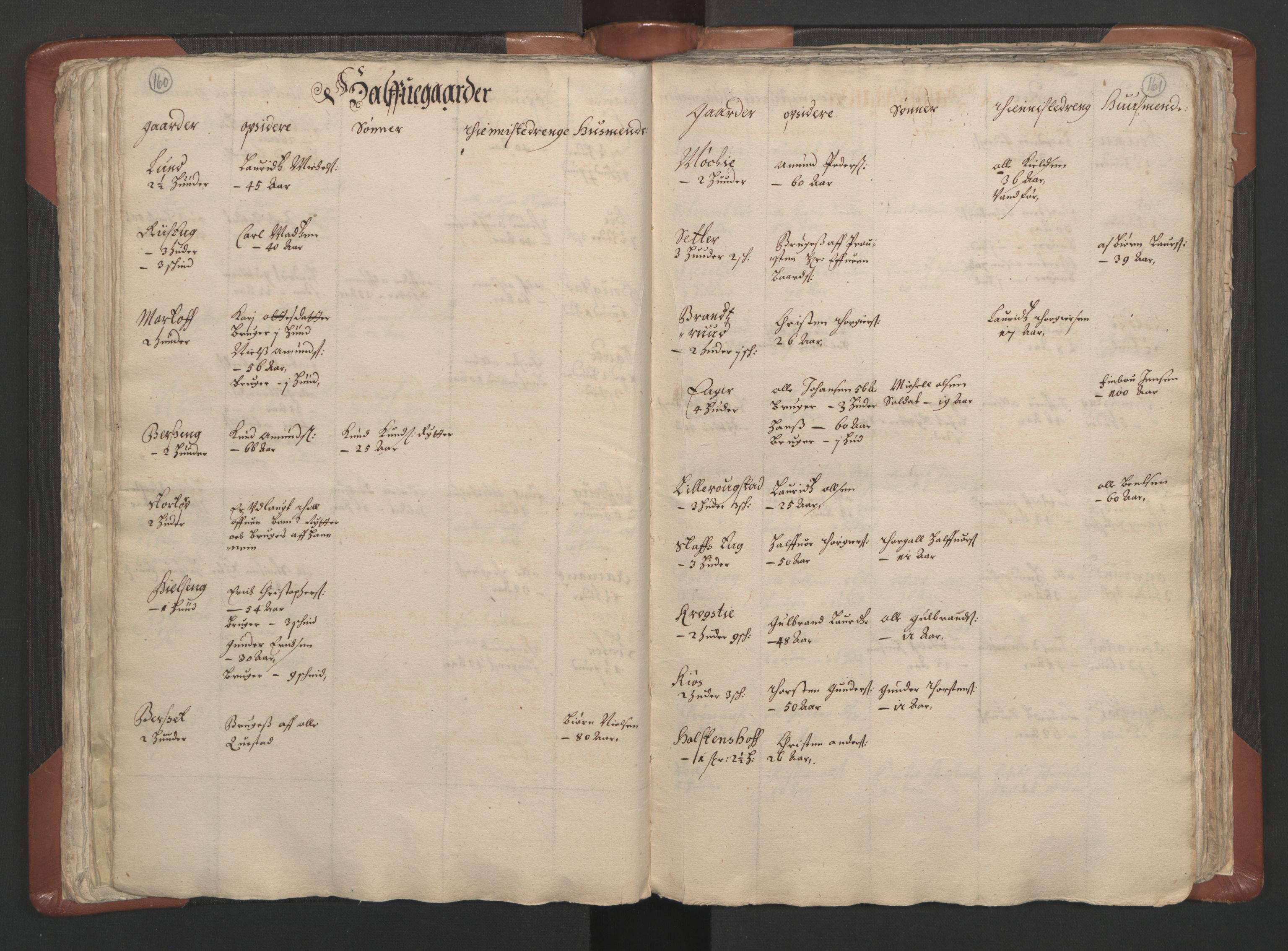 RA, Vicar's Census 1664-1666, no. 5: Hedmark deanery, 1664-1666, p. 160-161