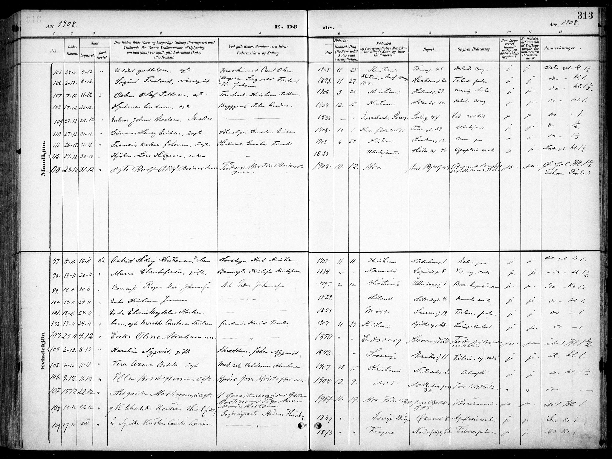 Kampen prestekontor Kirkebøker, AV/SAO-A-10853/F/Fa/L0009: Parish register (official) no. I 9, 1899-1911, p. 313