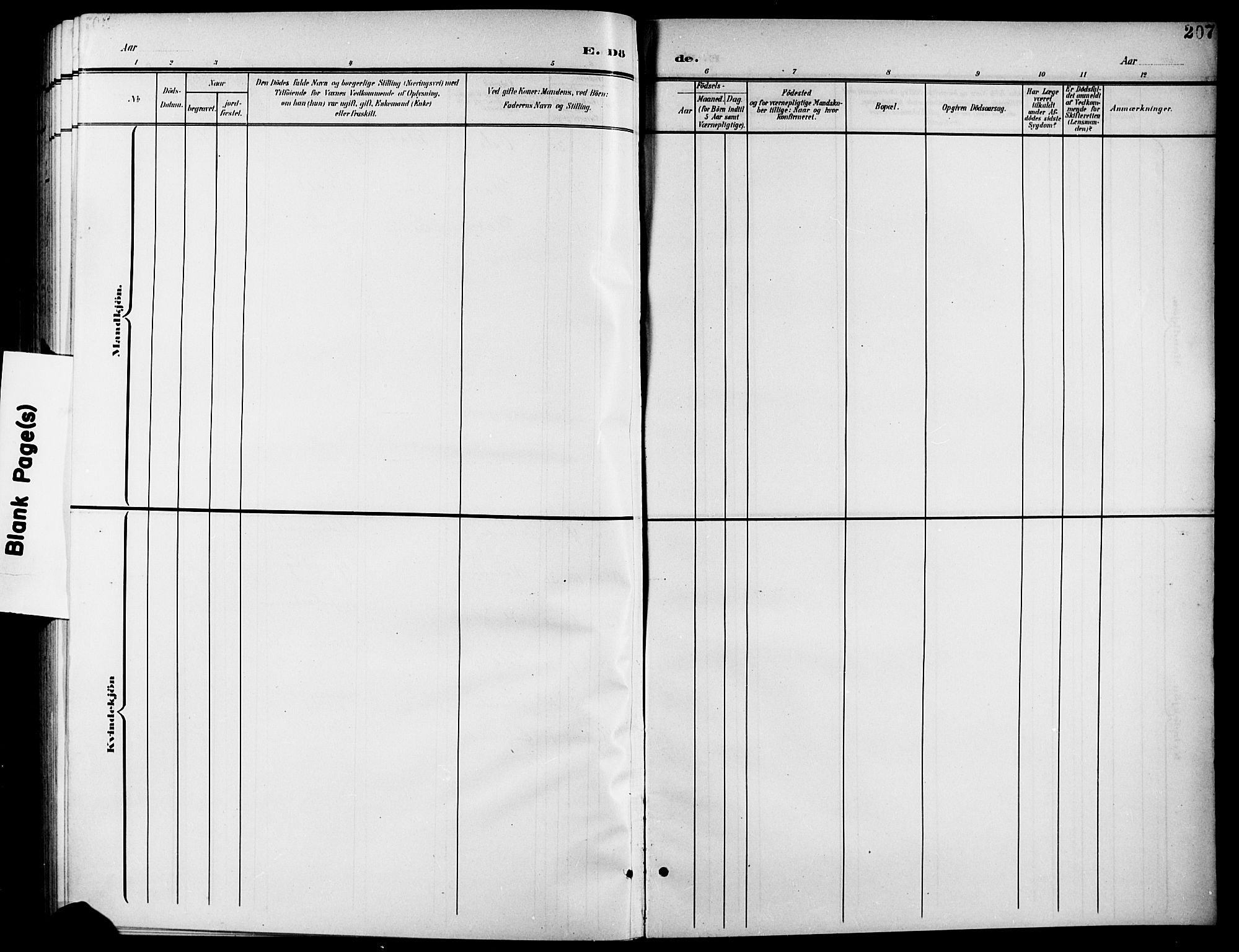 Aurskog prestekontor Kirkebøker, AV/SAO-A-10304a/G/Gb/L0002: Parish register (copy) no. II 2, 1901-1926, p. 207