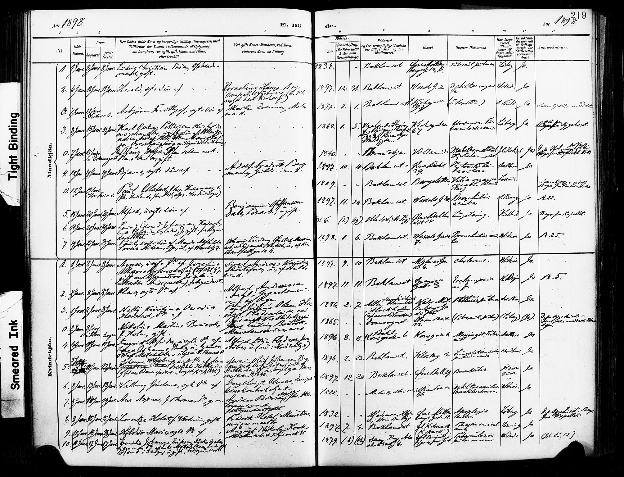 Ministerialprotokoller, klokkerbøker og fødselsregistre - Sør-Trøndelag, SAT/A-1456/604/L0198: Parish register (official) no. 604A19, 1893-1900, p. 219