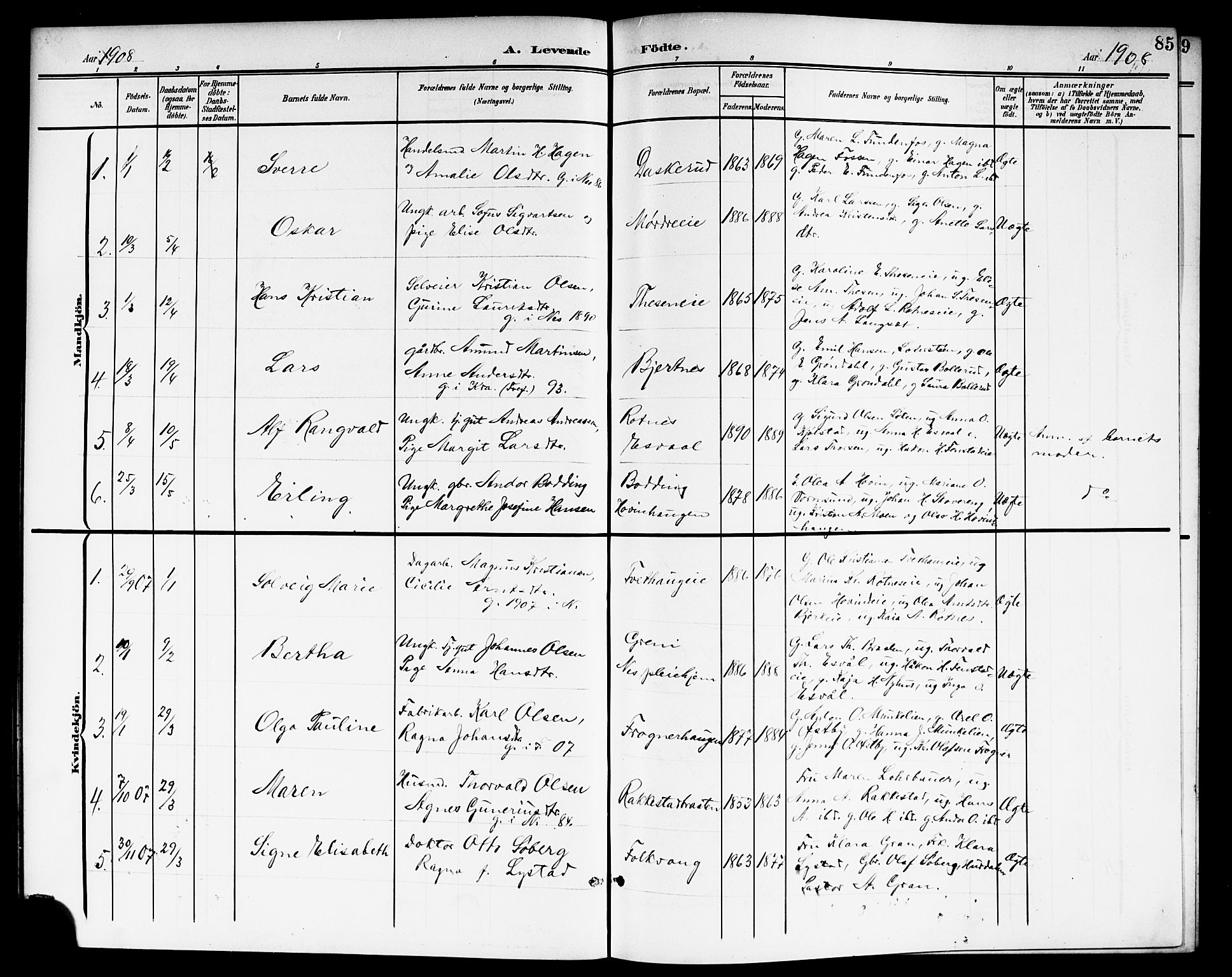 Nes prestekontor Kirkebøker, SAO/A-10410/G/Ga/L0002: Parish register (copy) no. I 2, 1901-1912, p. 85