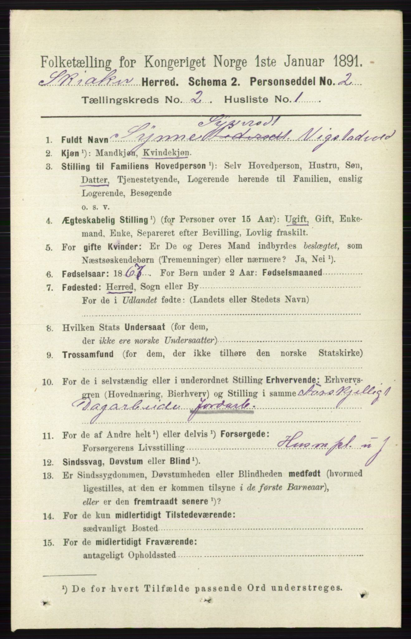 RA, 1891 census for 0513 Skjåk, 1891, p. 539