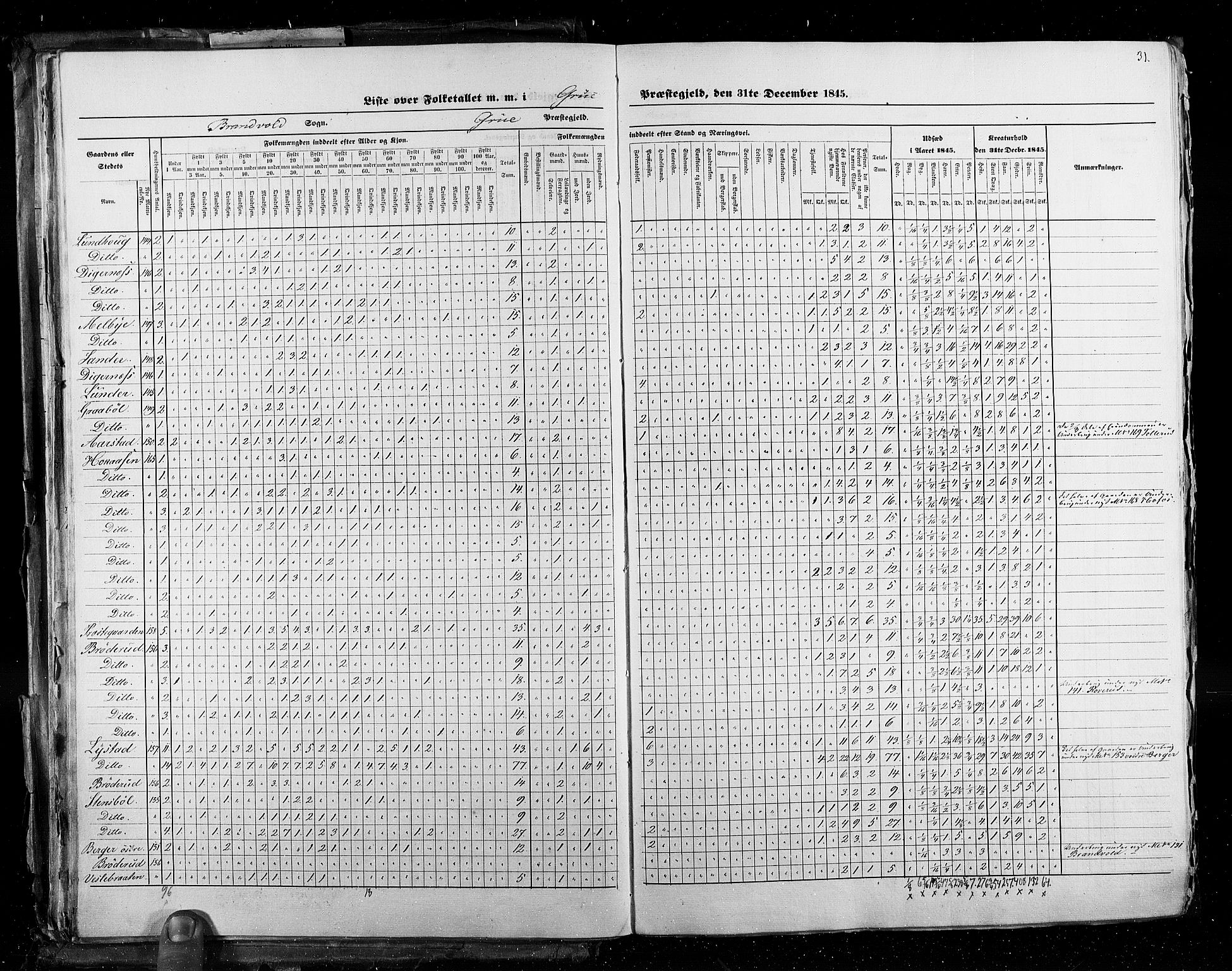 RA, Census 1845, vol. 3: Hedemarken amt og Kristians amt, 1845, p. 31