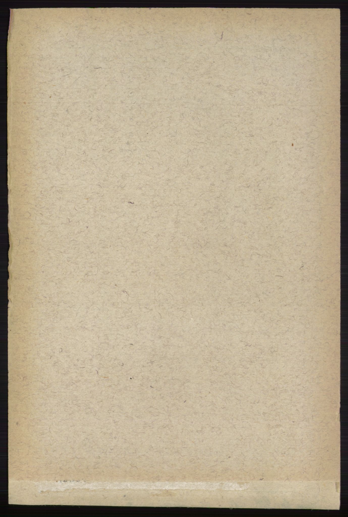 RA, 1891 census for 0712 Skoger, 1891, p. 4314
