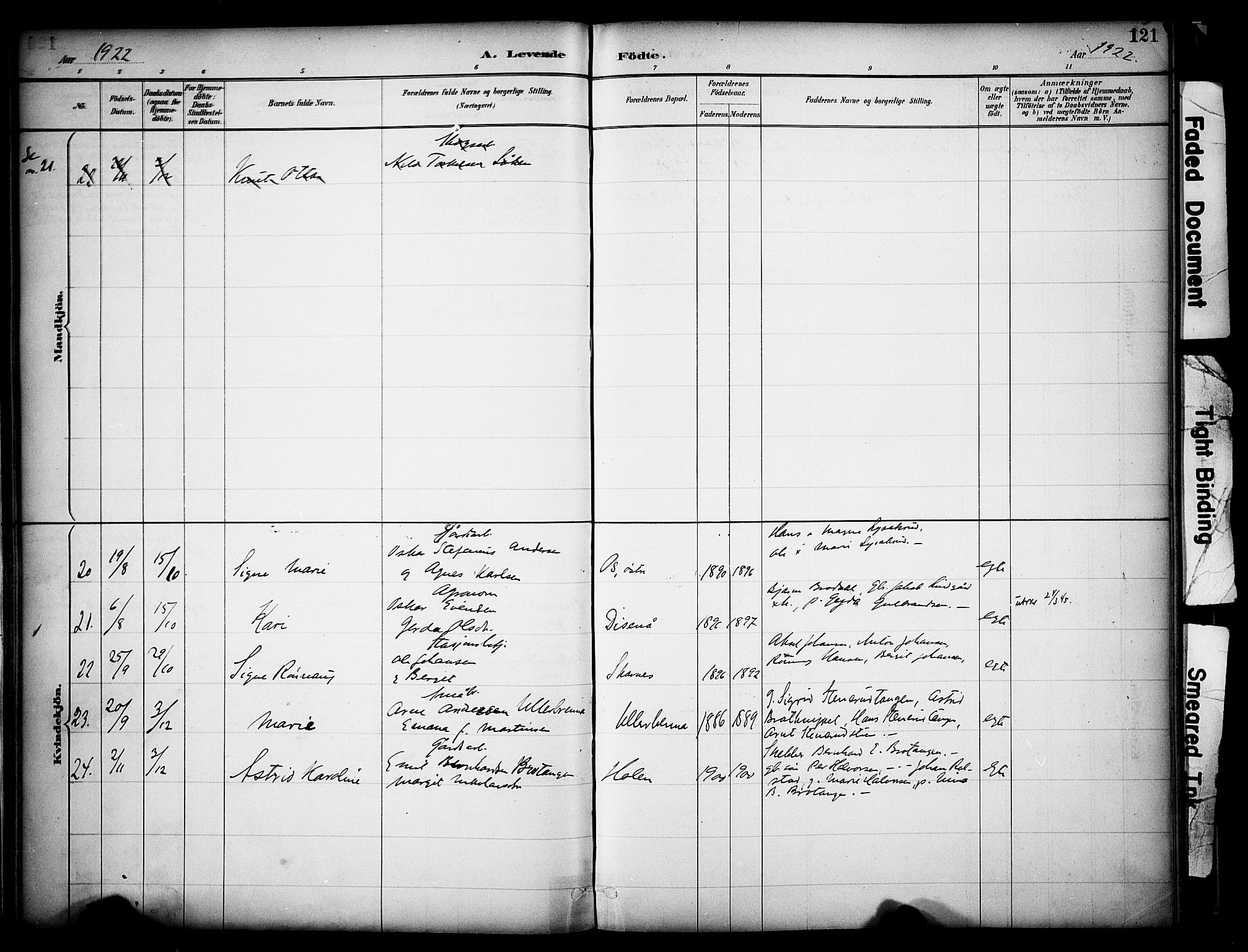 Sør-Odal prestekontor, SAH/PREST-030/H/Ha/Haa/L0008: Parish register (official) no. 8, 1886-1922, p. 121