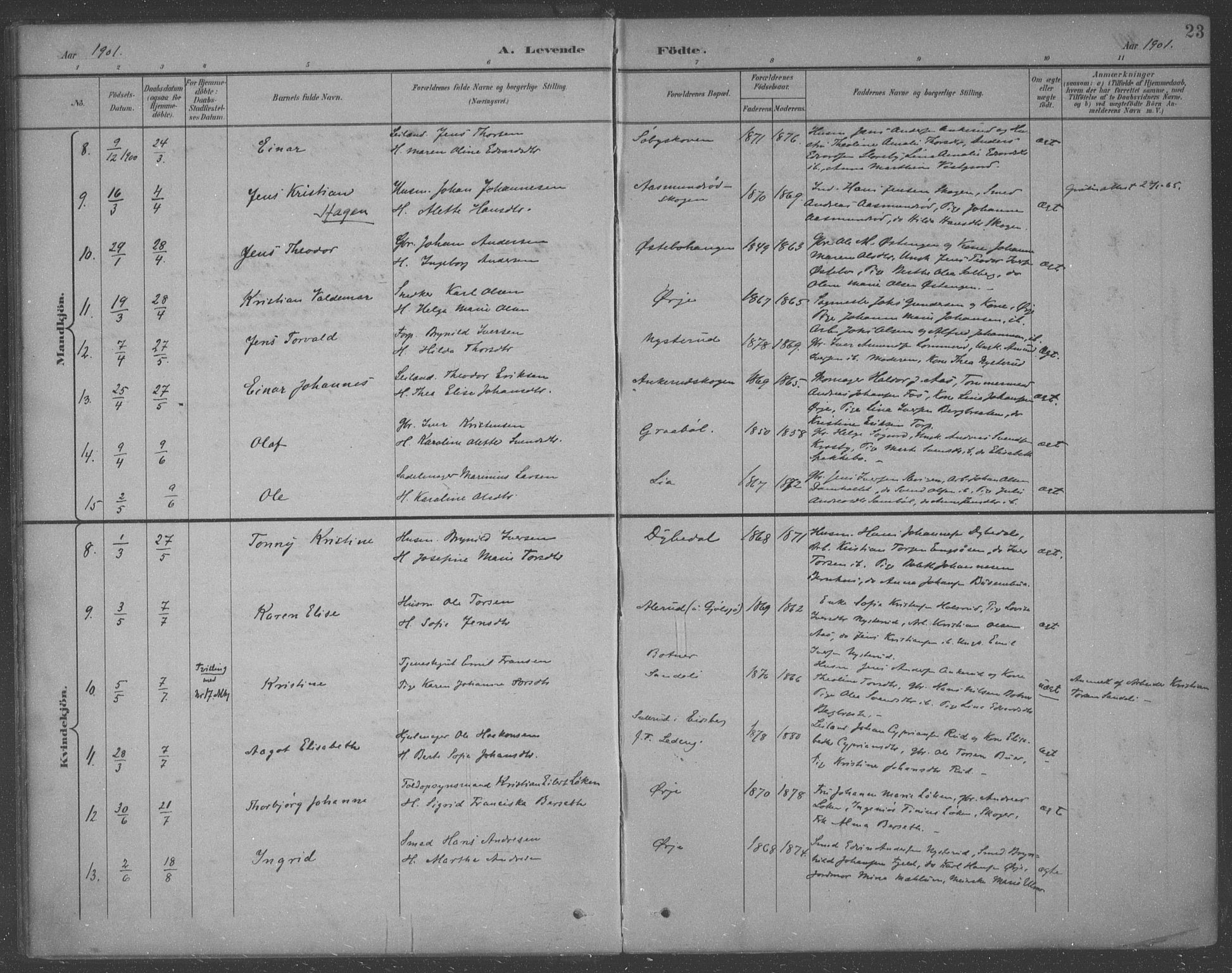 Aremark prestekontor Kirkebøker, SAO/A-10899/F/Fb/L0005: Parish register (official) no. II 5, 1895-1919, p. 23