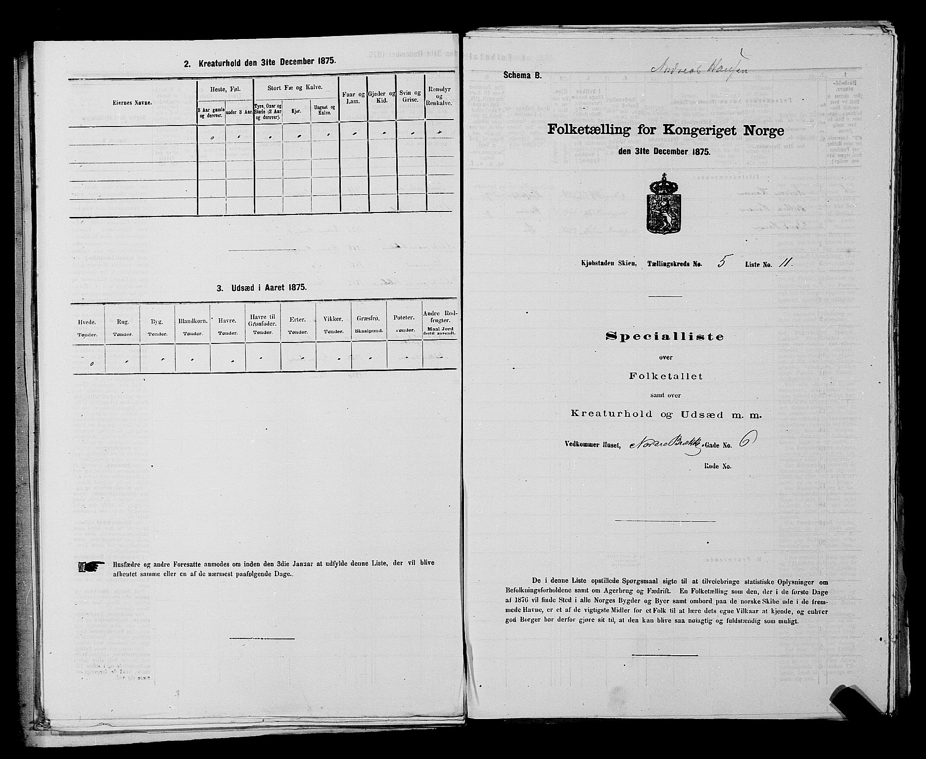 SAKO, 1875 census for 0806P Skien, 1875, p. 872