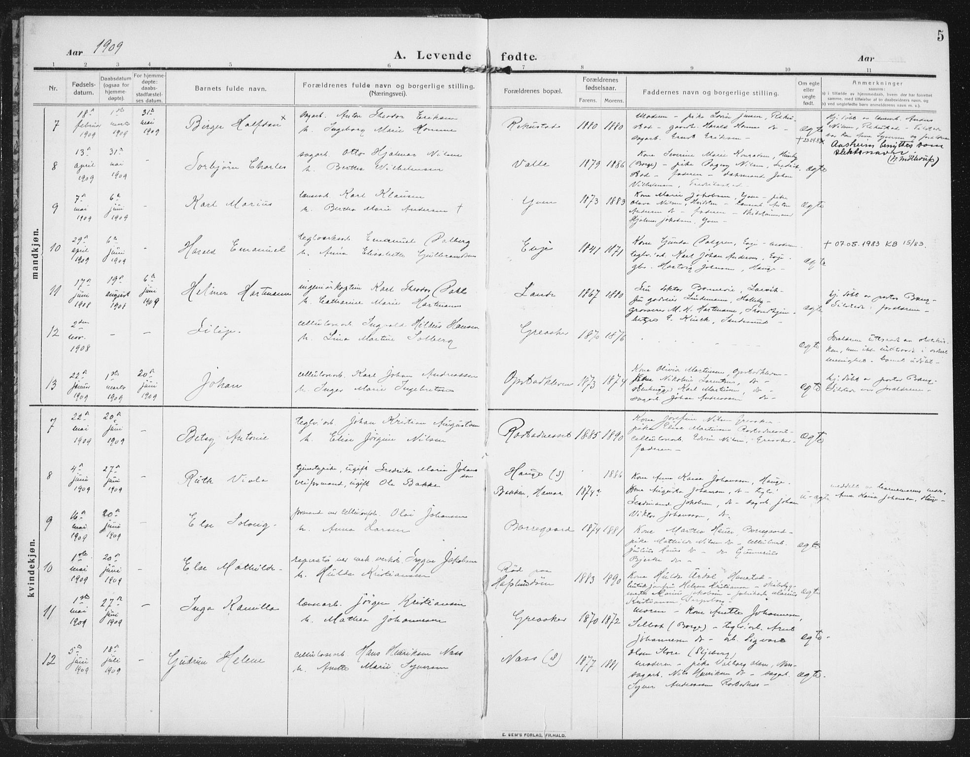 Rolvsøy prestekontor Kirkebøker, AV/SAO-A-2004/F/Fa/L0002: Parish register (official) no. 2, 1909-1917, p. 5