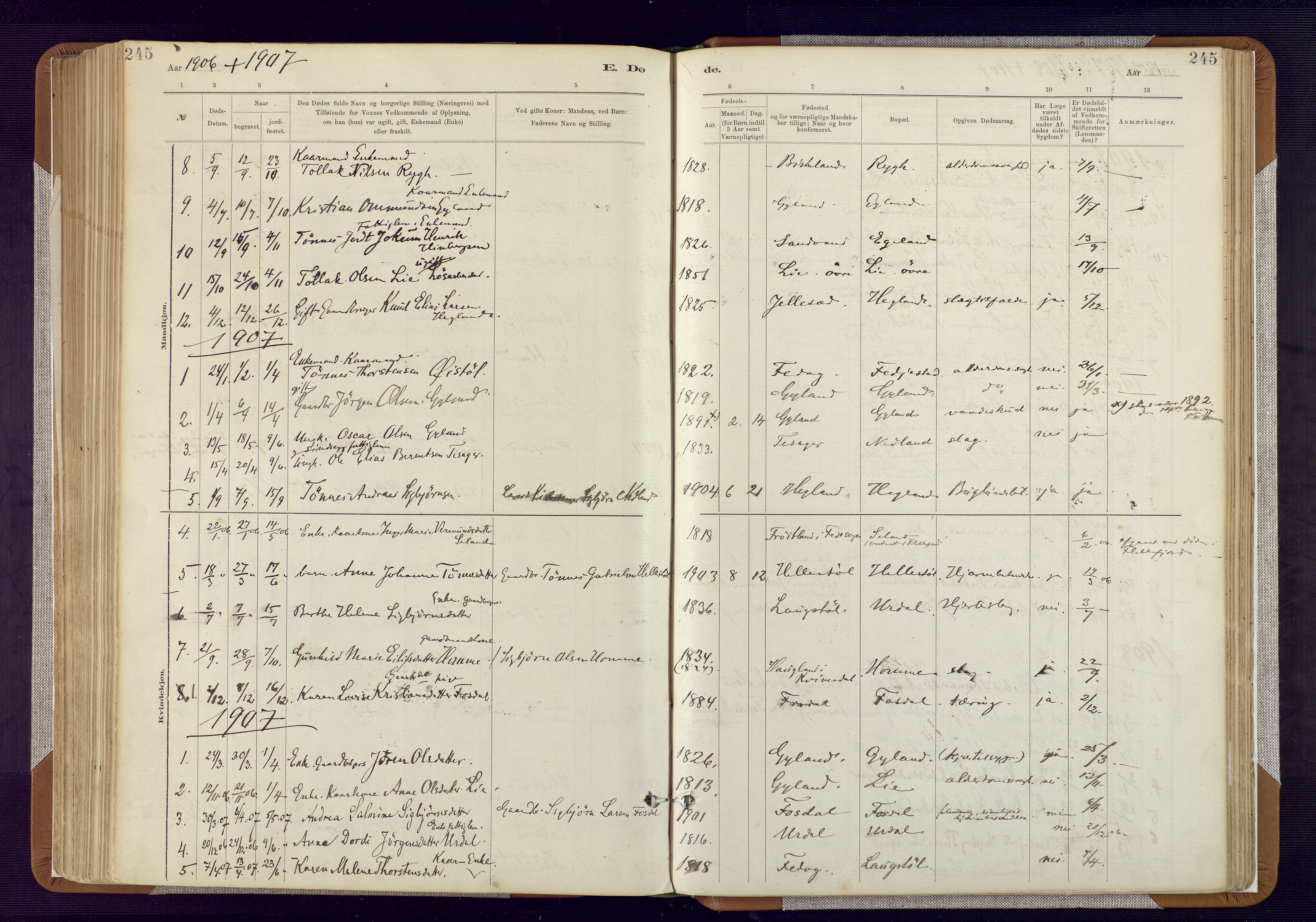 Bakke sokneprestkontor, SAK/1111-0002/F/Fa/Fab/L0003: Parish register (official) no. A 3, 1884-1921, p. 245