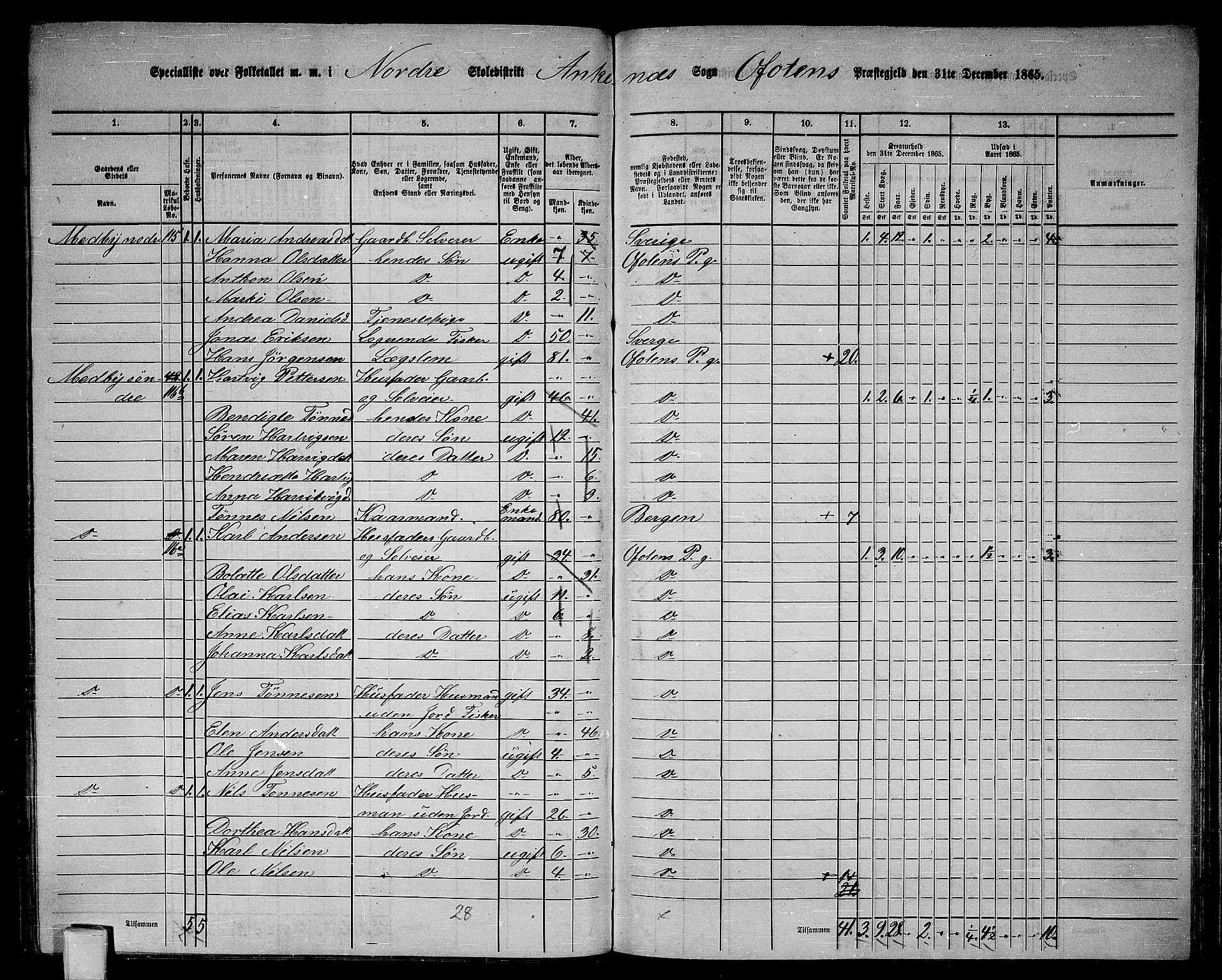 RA, 1865 census for Ofoten, 1865, p. 117