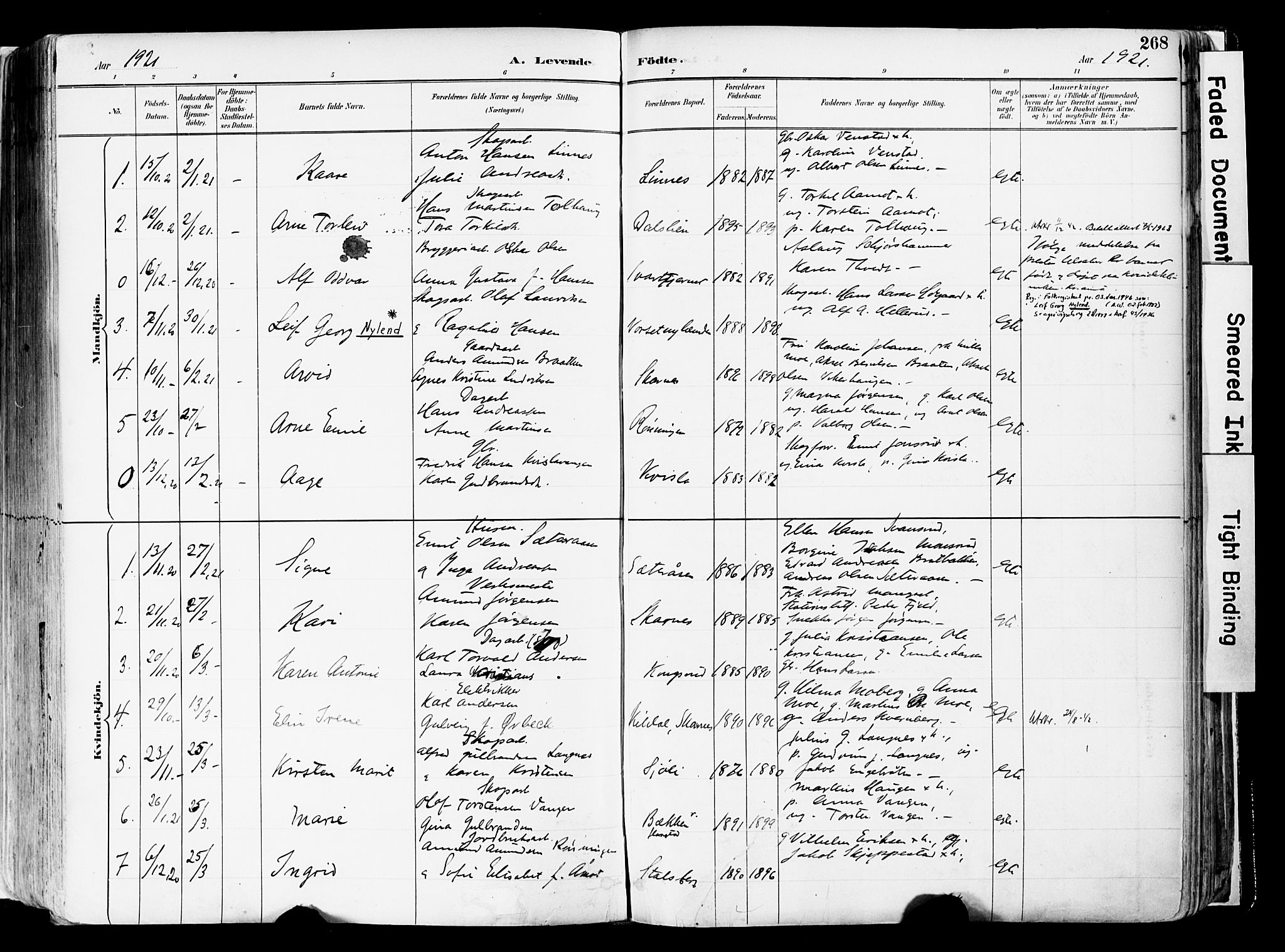 Sør-Odal prestekontor, AV/SAH-PREST-030/H/Ha/Haa/L0006: Parish register (official) no. 6, 1886-1931, p. 268