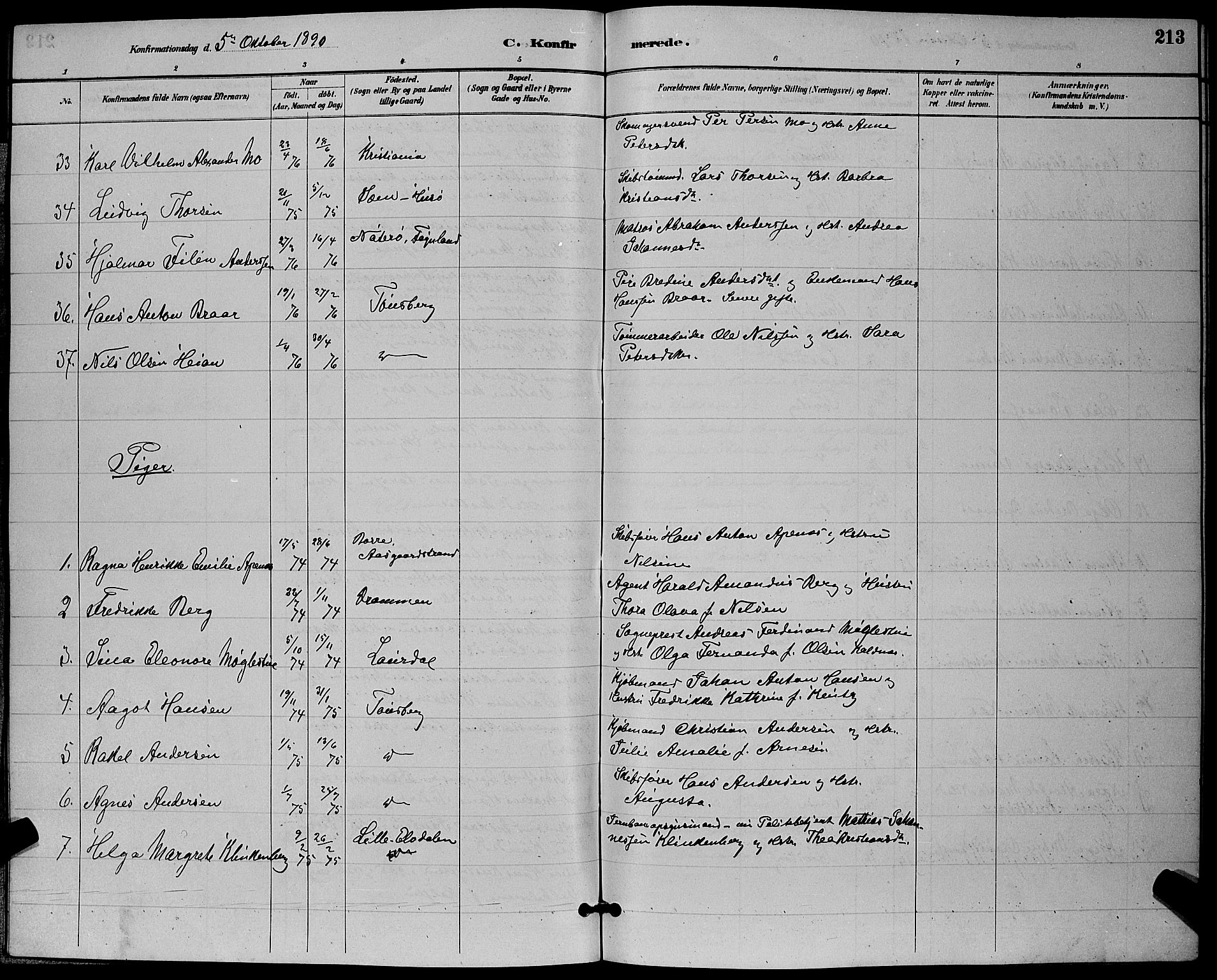 Tønsberg kirkebøker, AV/SAKO-A-330/G/Ga/L0006: Parish register (copy) no. 6, 1885-1895, p. 213