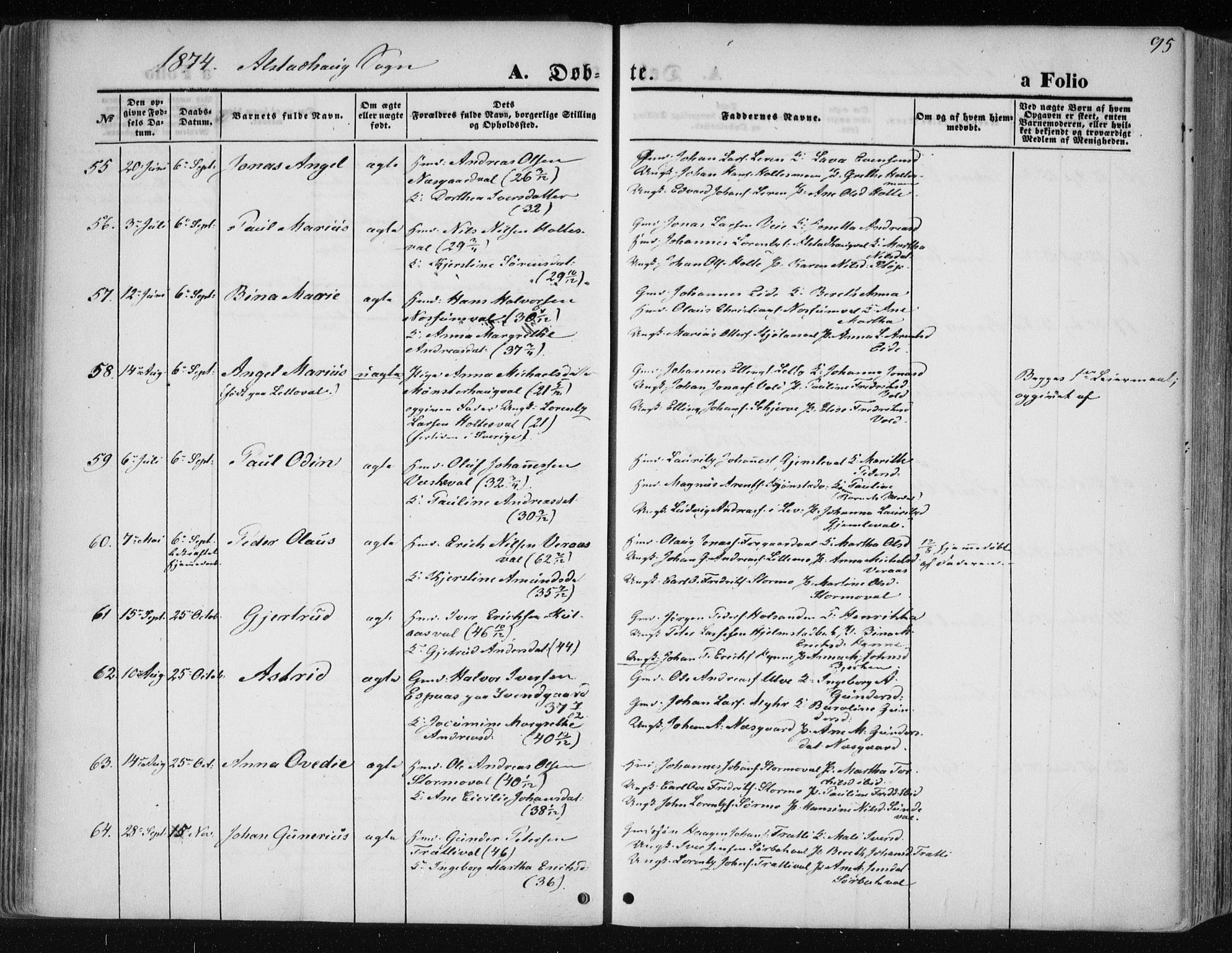 Ministerialprotokoller, klokkerbøker og fødselsregistre - Nord-Trøndelag, AV/SAT-A-1458/717/L0157: Parish register (official) no. 717A08 /1, 1863-1877, p. 95