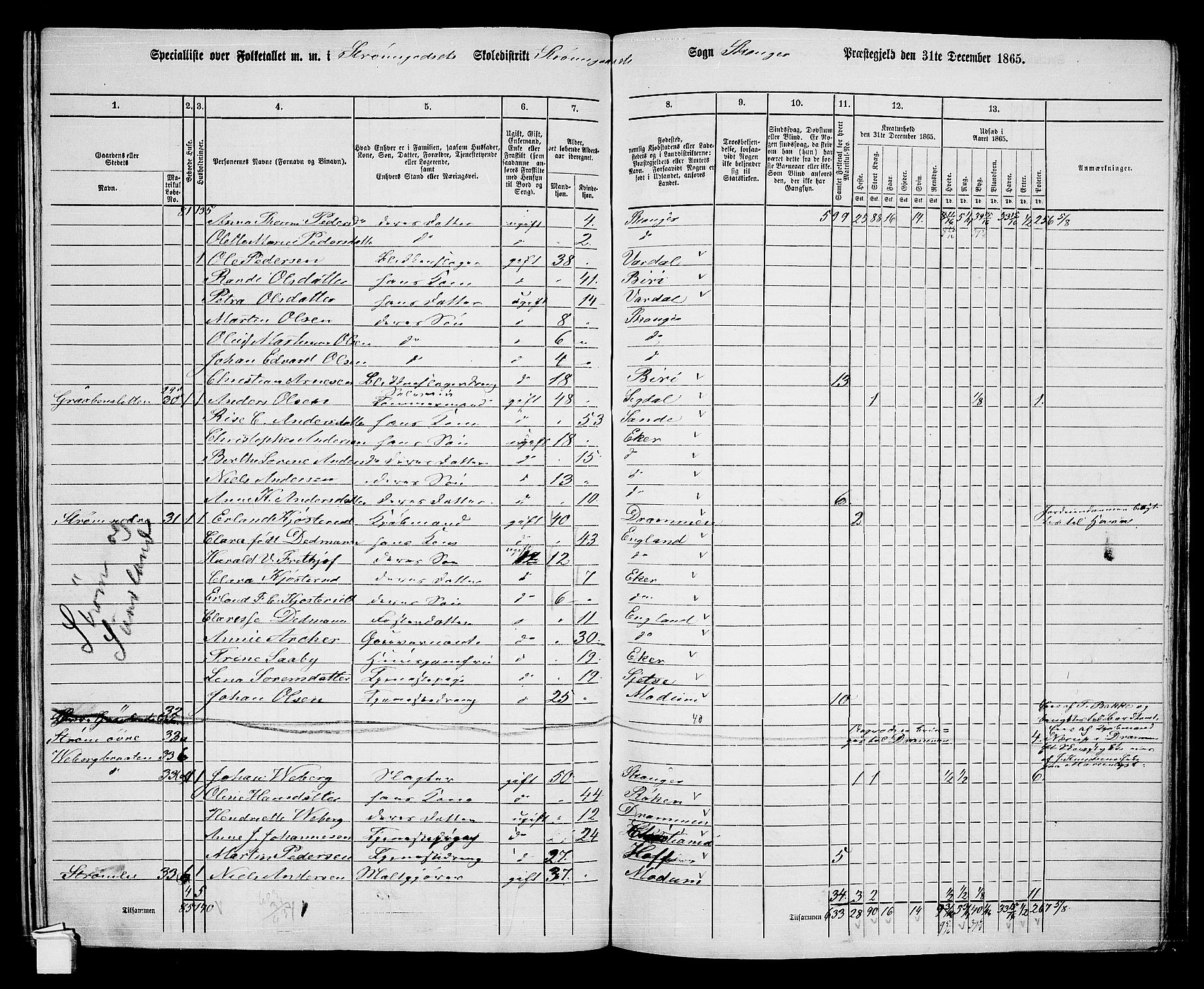 RA, 1865 census for Skoger, 1865, p. 136