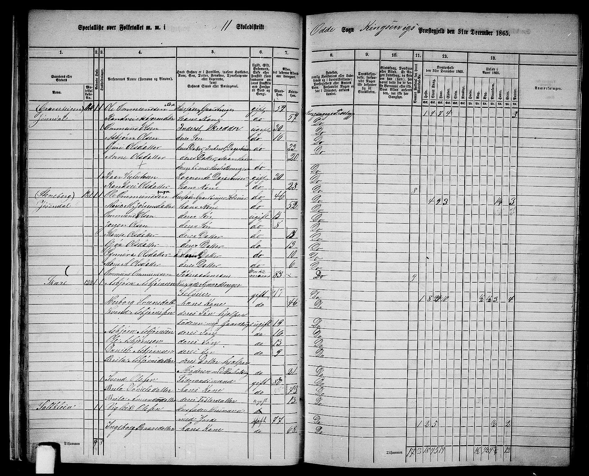 RA, 1865 census for Kinsarvik, 1865, p. 29