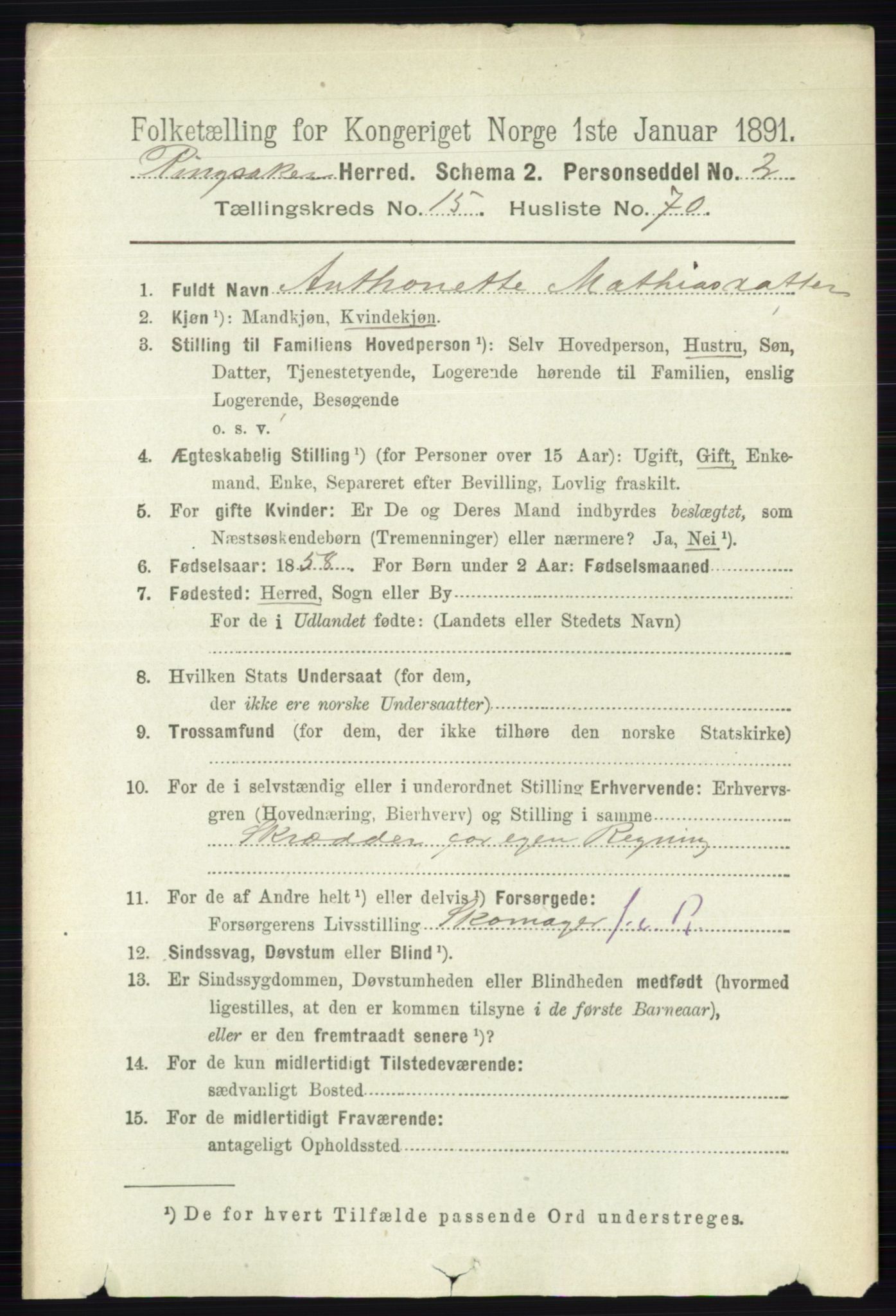 RA, 1891 census for 0412 Ringsaker, 1891, p. 8914
