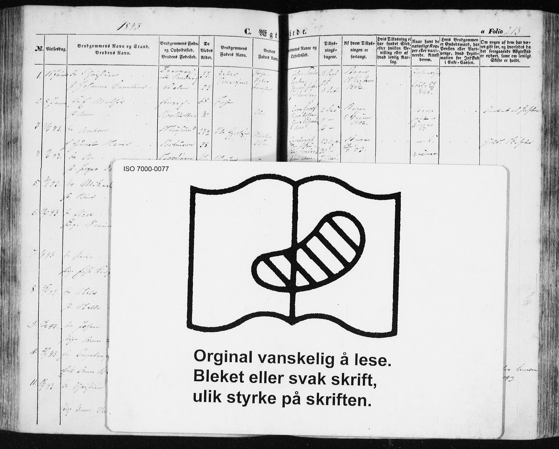 Ministerialprotokoller, klokkerbøker og fødselsregistre - Sør-Trøndelag, SAT/A-1456/634/L0529: Parish register (official) no. 634A05, 1843-1851, p. 213