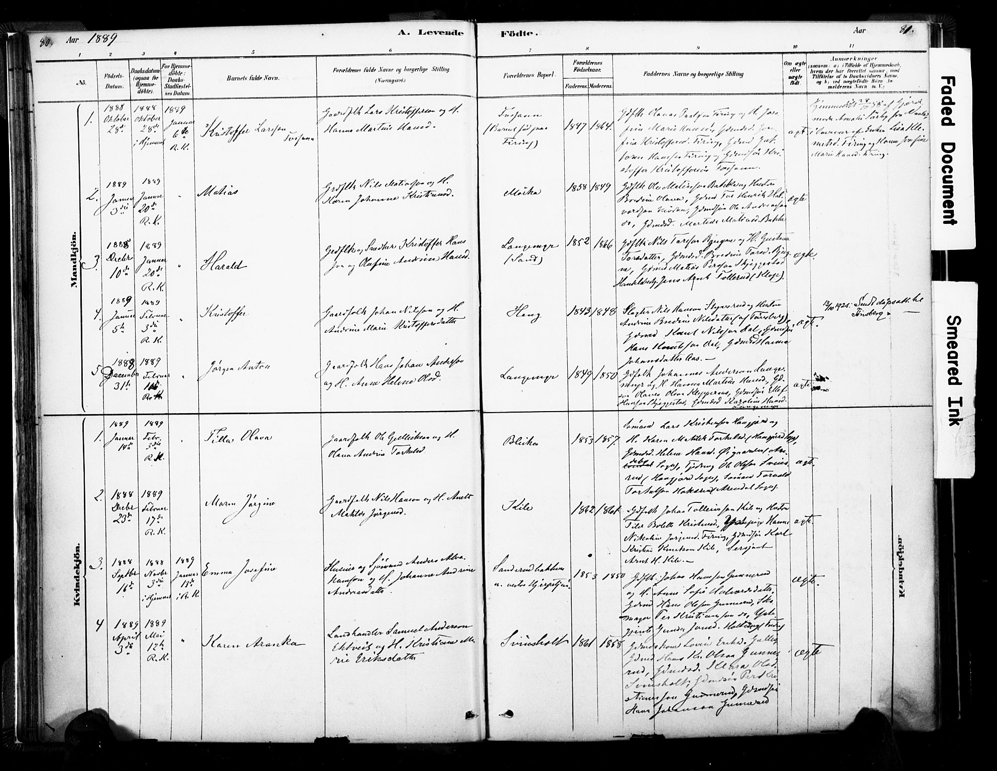 Ramnes kirkebøker, AV/SAKO-A-314/F/Fa/L0007: Parish register (official) no. I 7, 1878-1895, p. 80-81