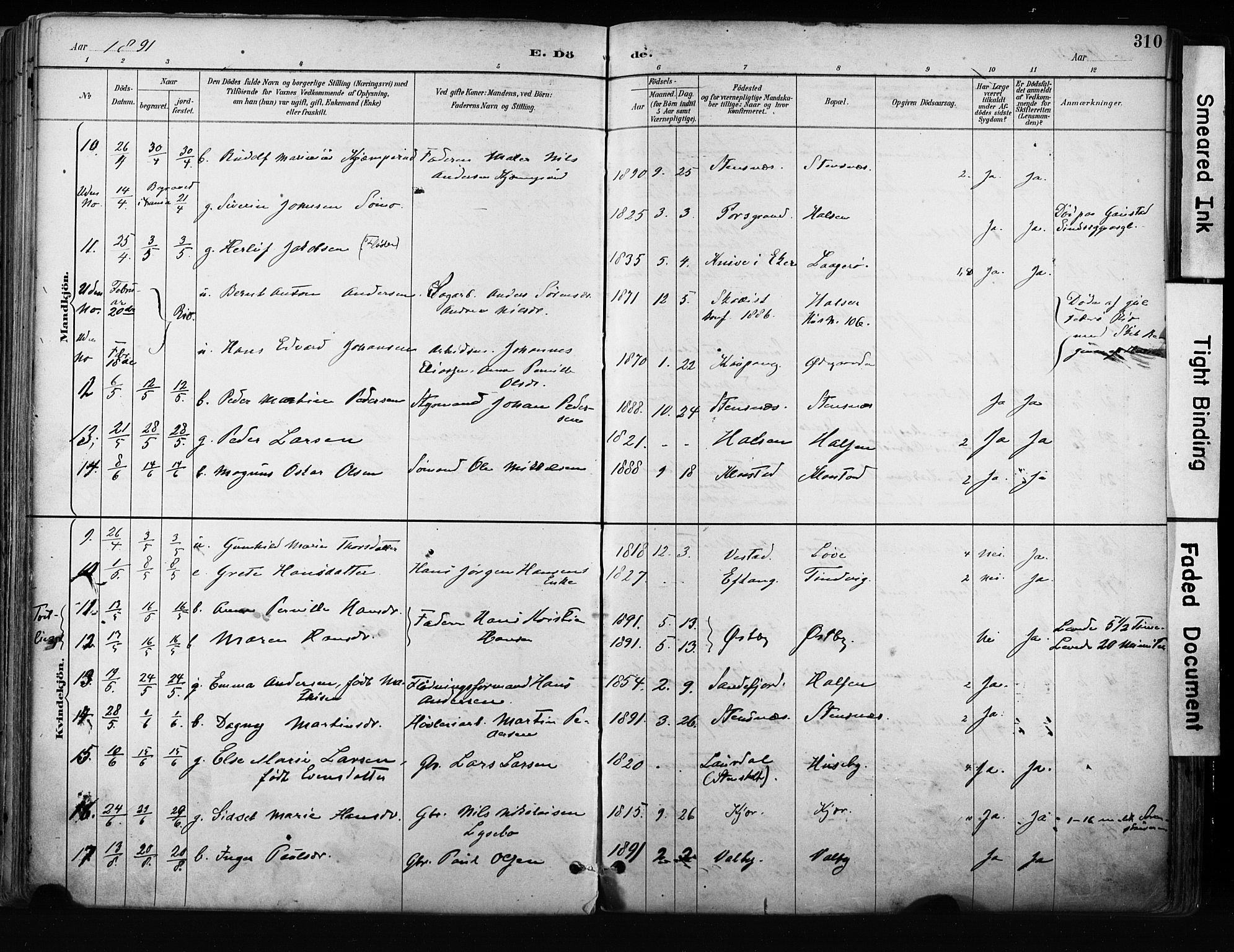 Tjølling kirkebøker, AV/SAKO-A-60/F/Fa/L0009: Parish register (official) no. 9, 1887-1905, p. 310