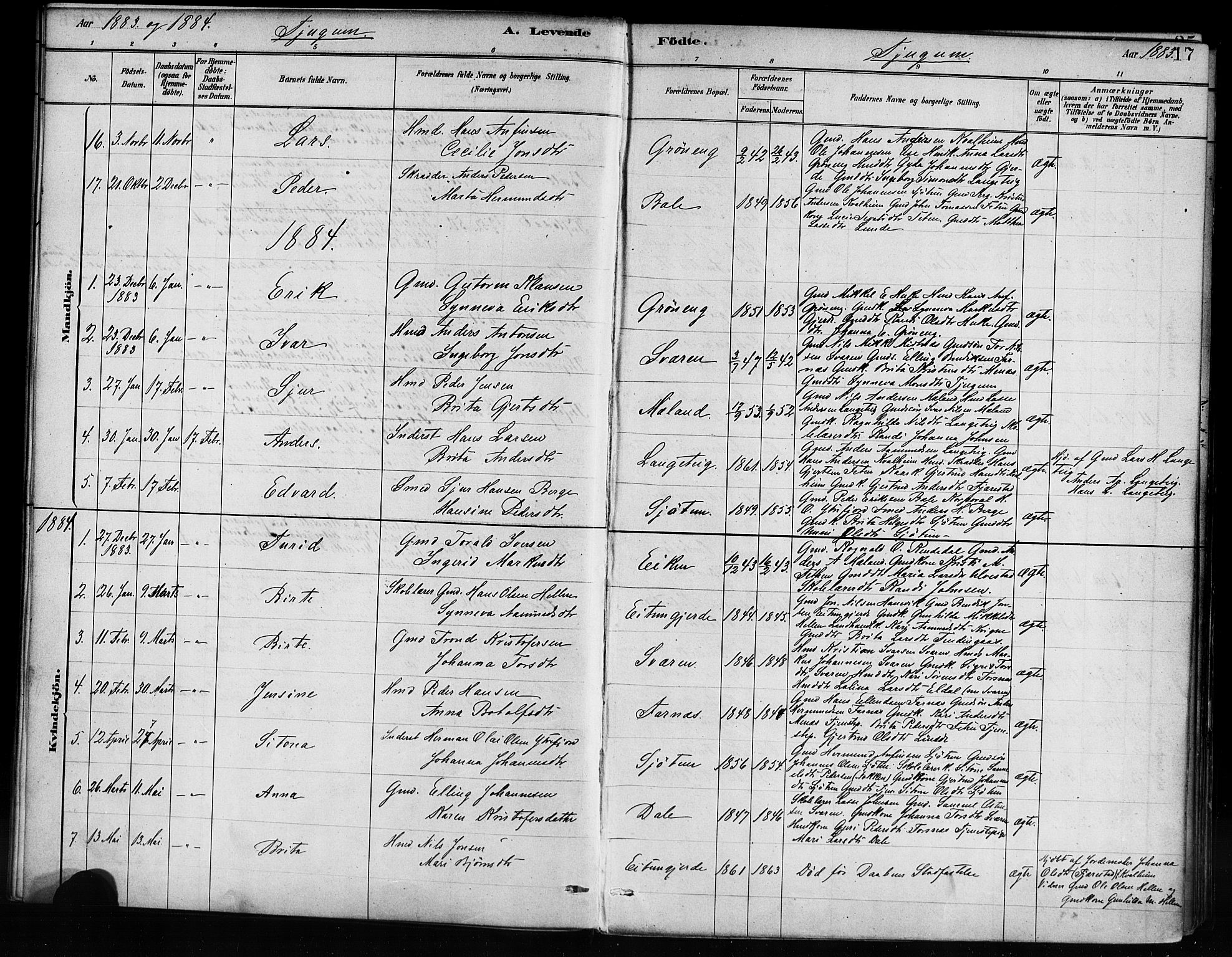 Balestrand sokneprestembete, AV/SAB-A-79601/H/Haa/Haaa/L0004: Parish register (official) no. A 4 / 1, 1879-1888, p. 17