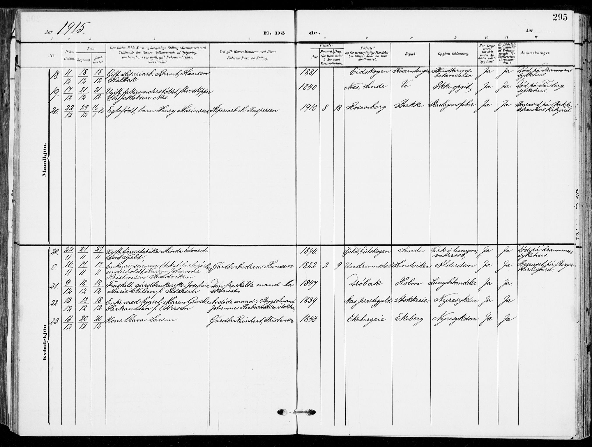 Sande Kirkebøker, AV/SAKO-A-53/F/Fa/L0008: Parish register (official) no. 8, 1904-1921, p. 295