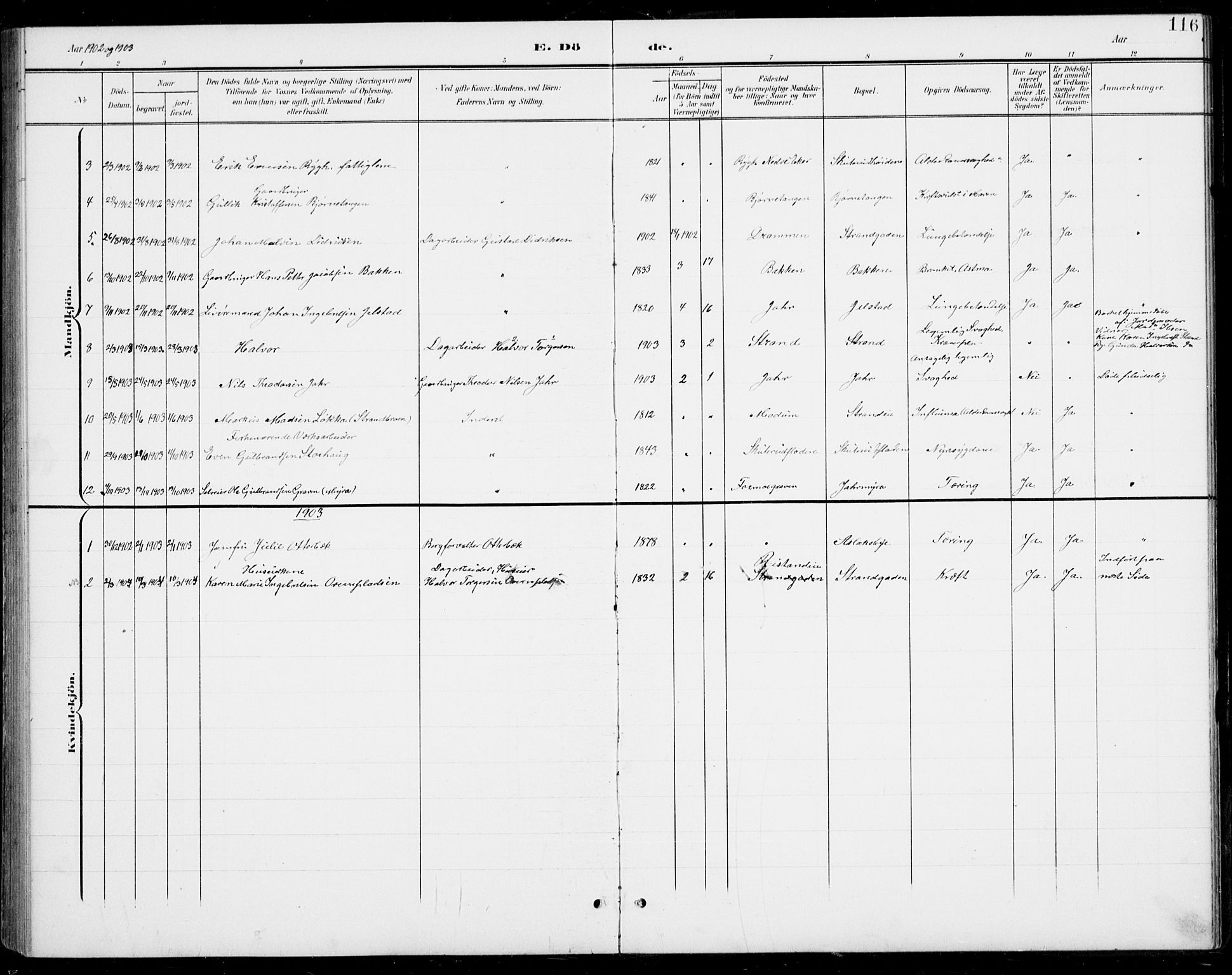 Modum kirkebøker, AV/SAKO-A-234/G/Gb/L0001: Parish register (copy) no. II 1, 1901-1942, p. 116