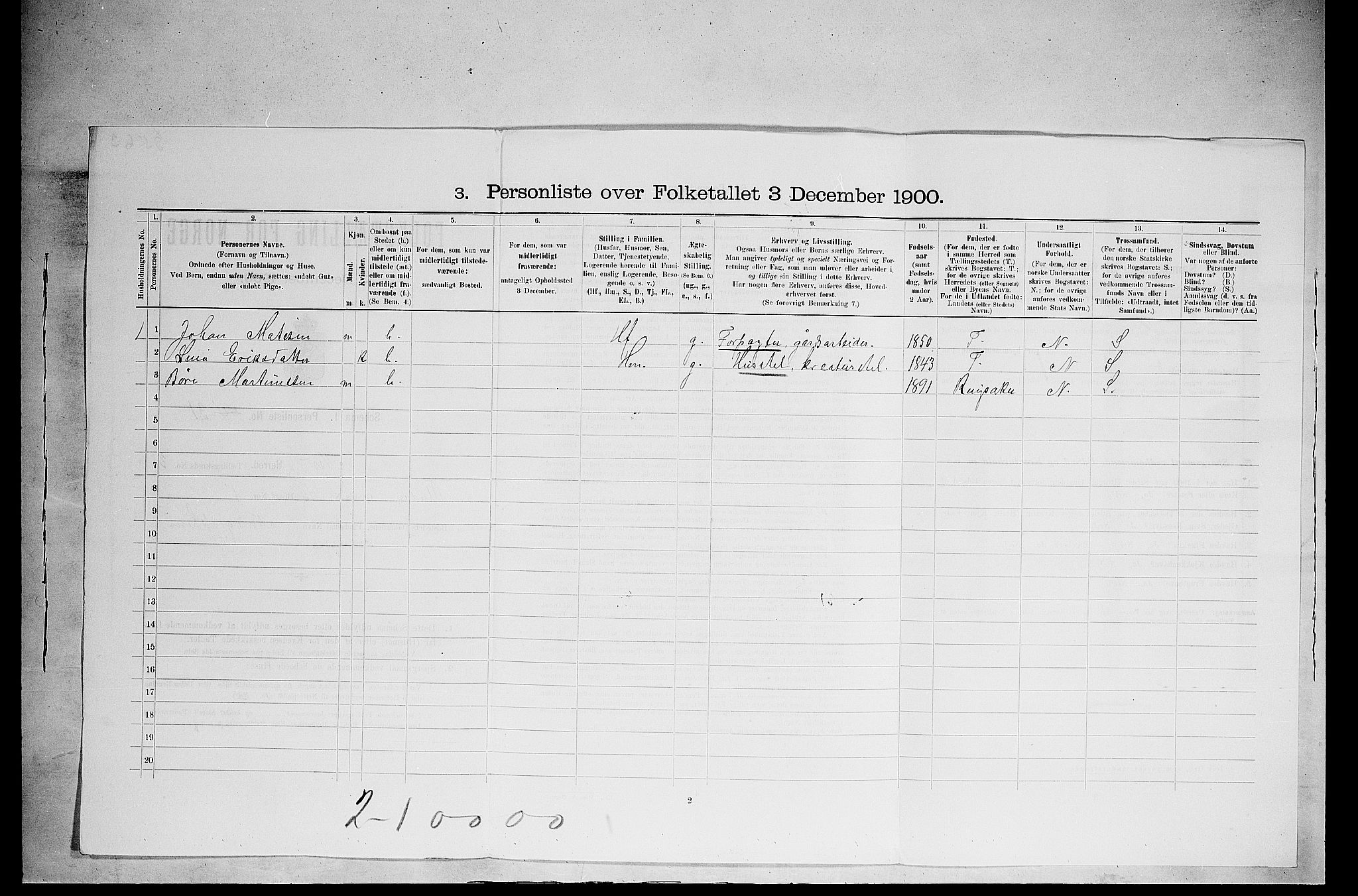 SAH, 1900 census for Nes, 1900, p. 495