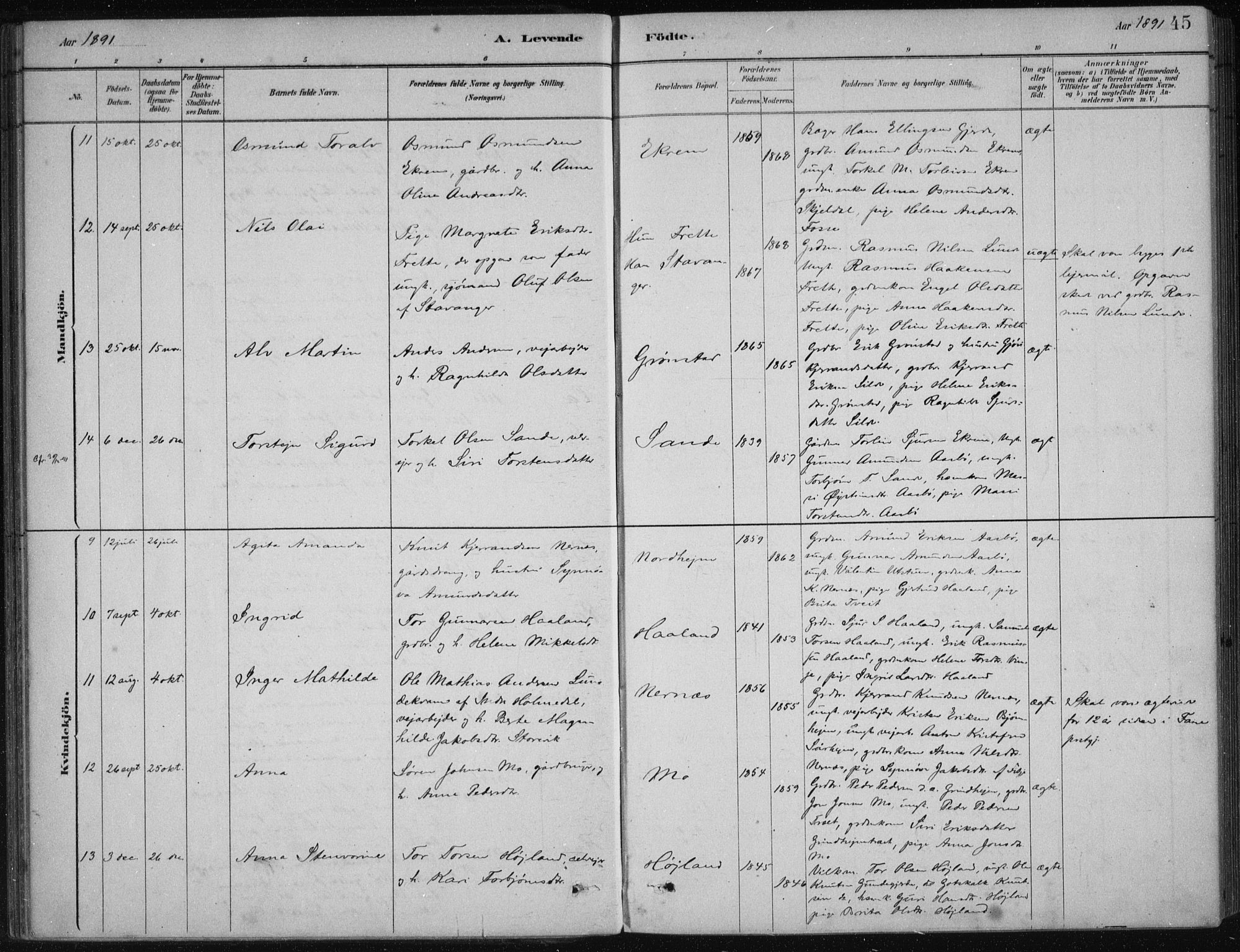 Etne sokneprestembete, AV/SAB-A-75001/H/Haa: Parish register (official) no. D  1, 1879-1919, p. 45