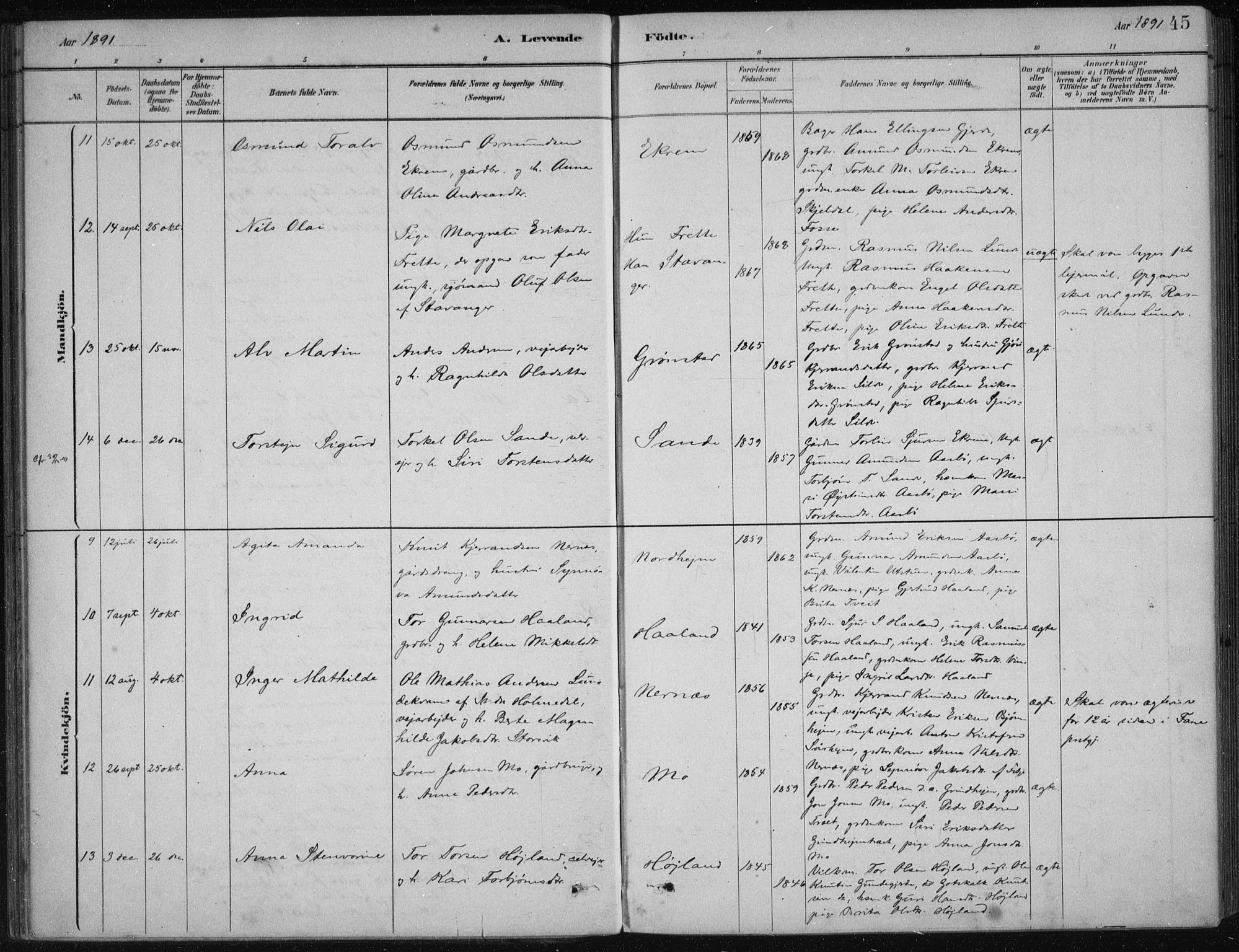 Etne sokneprestembete, SAB/A-75001/H/Haa: Parish register (official) no. D  1, 1879-1919, p. 45