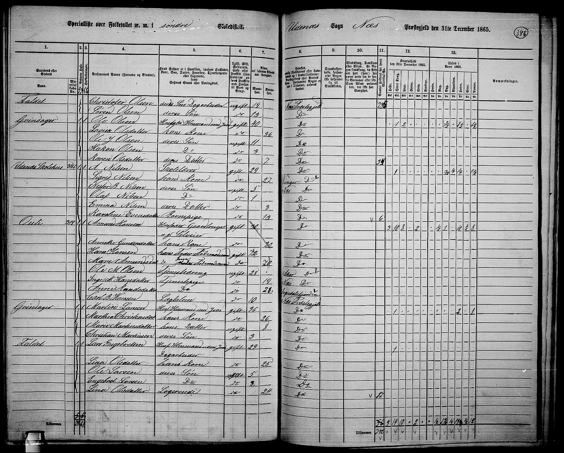 RA, 1865 census for Nes, 1865, p. 352