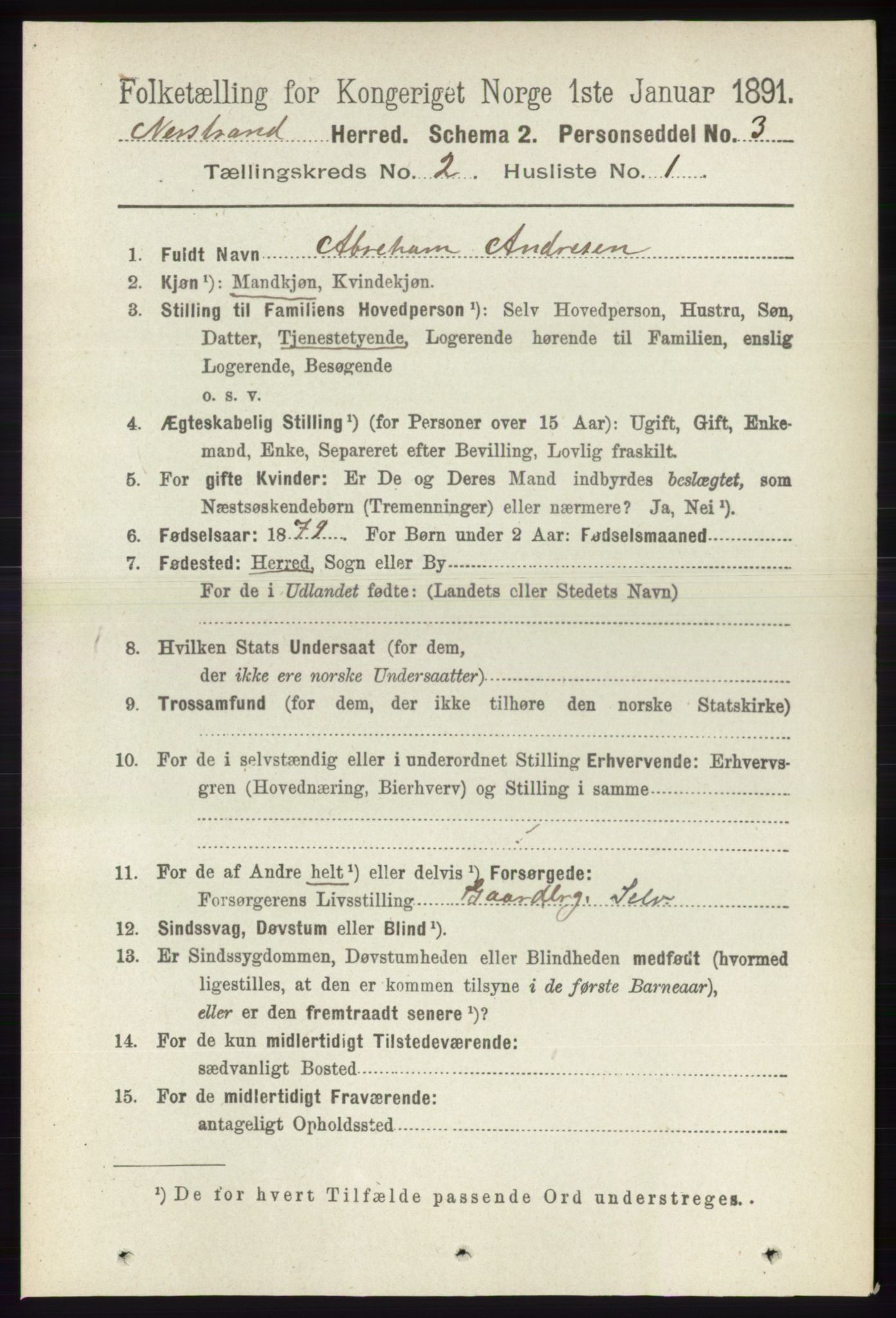 RA, 1891 census for 1139 Nedstrand, 1891, p. 248