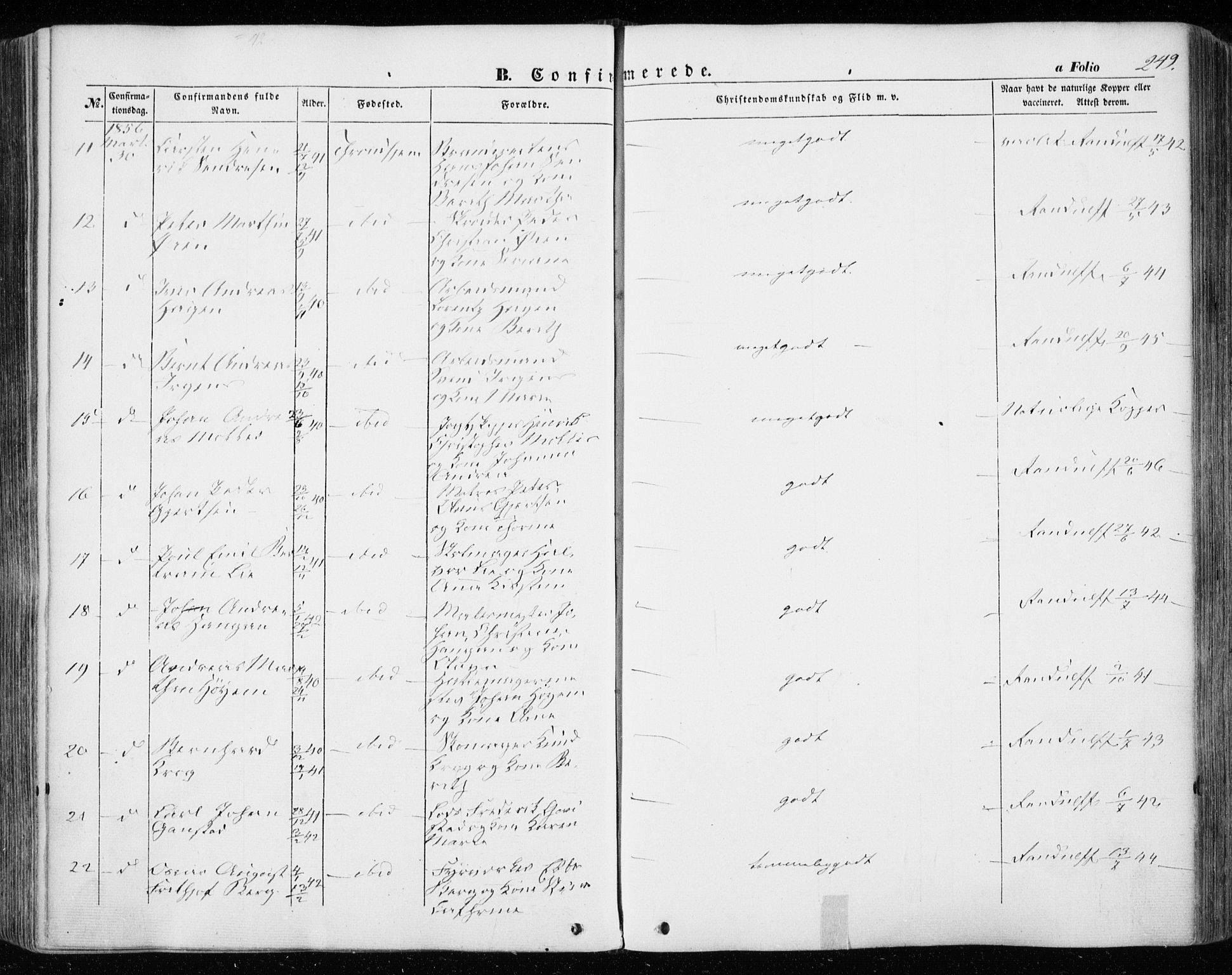 Ministerialprotokoller, klokkerbøker og fødselsregistre - Sør-Trøndelag, SAT/A-1456/601/L0051: Parish register (official) no. 601A19, 1848-1857, p. 249