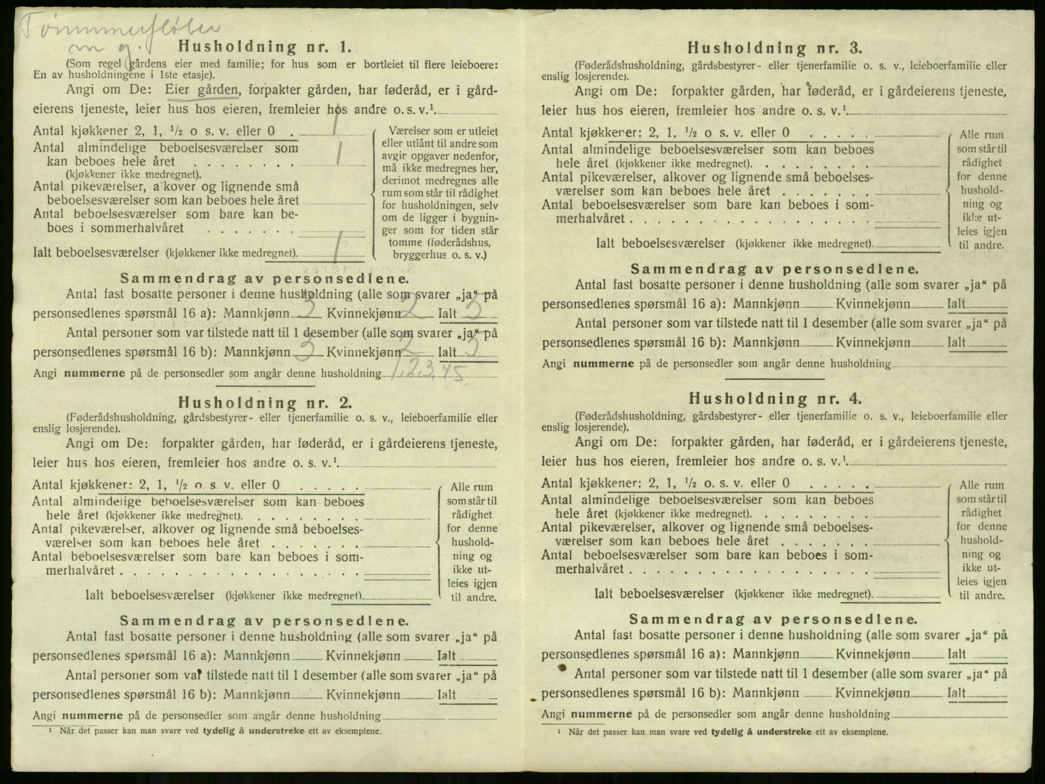 SAKO, 1920 census for Norderhov, 1920, p. 3605