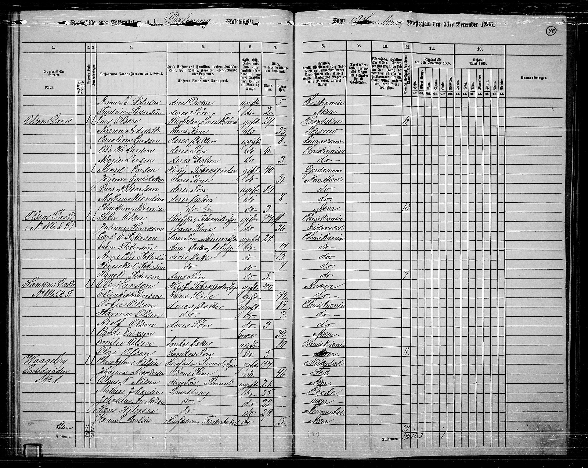 RA, 1865 census for Østre Aker, 1865, p. 45