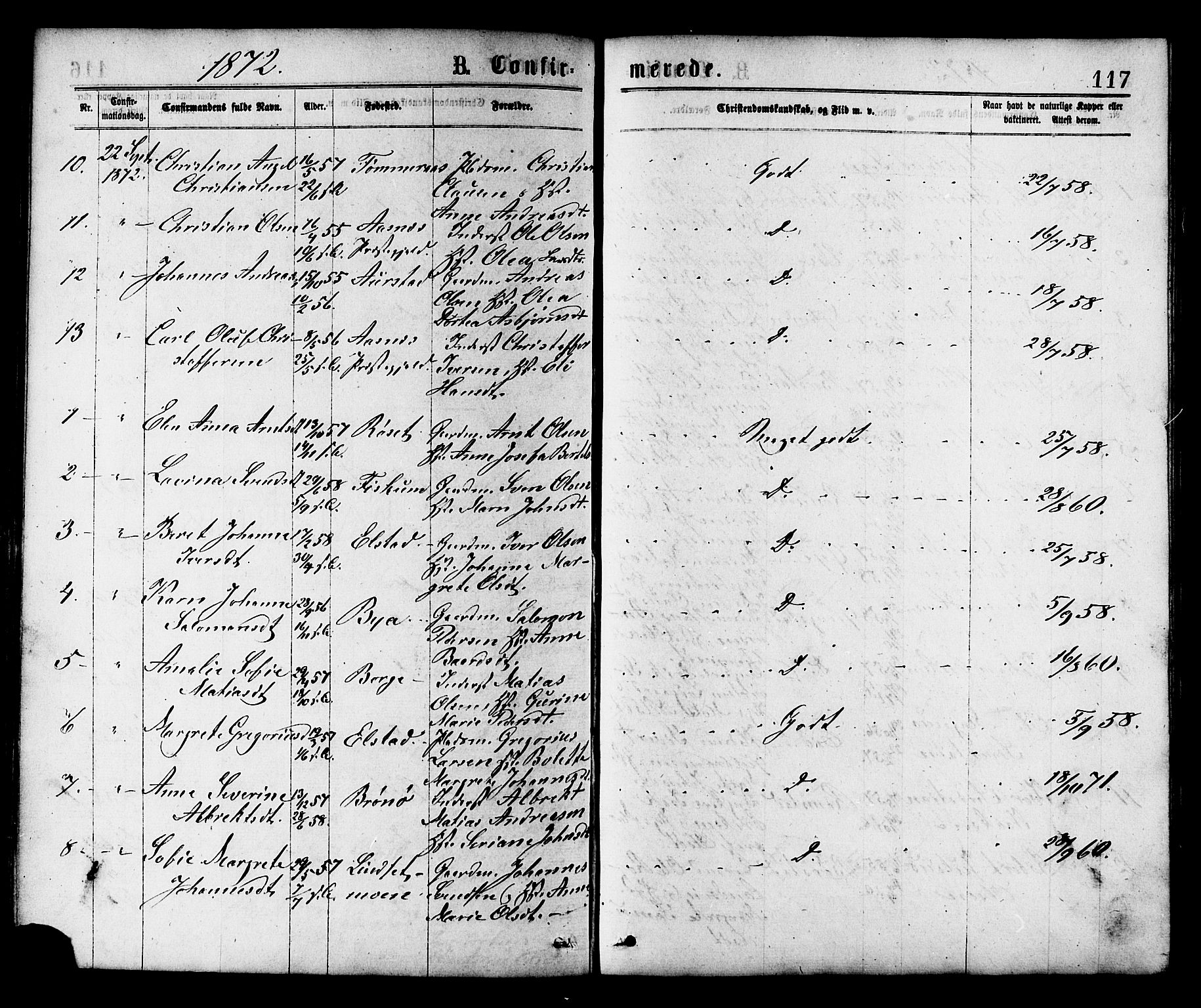 Ministerialprotokoller, klokkerbøker og fødselsregistre - Nord-Trøndelag, AV/SAT-A-1458/758/L0516: Parish register (official) no. 758A03 /1, 1869-1879, p. 117