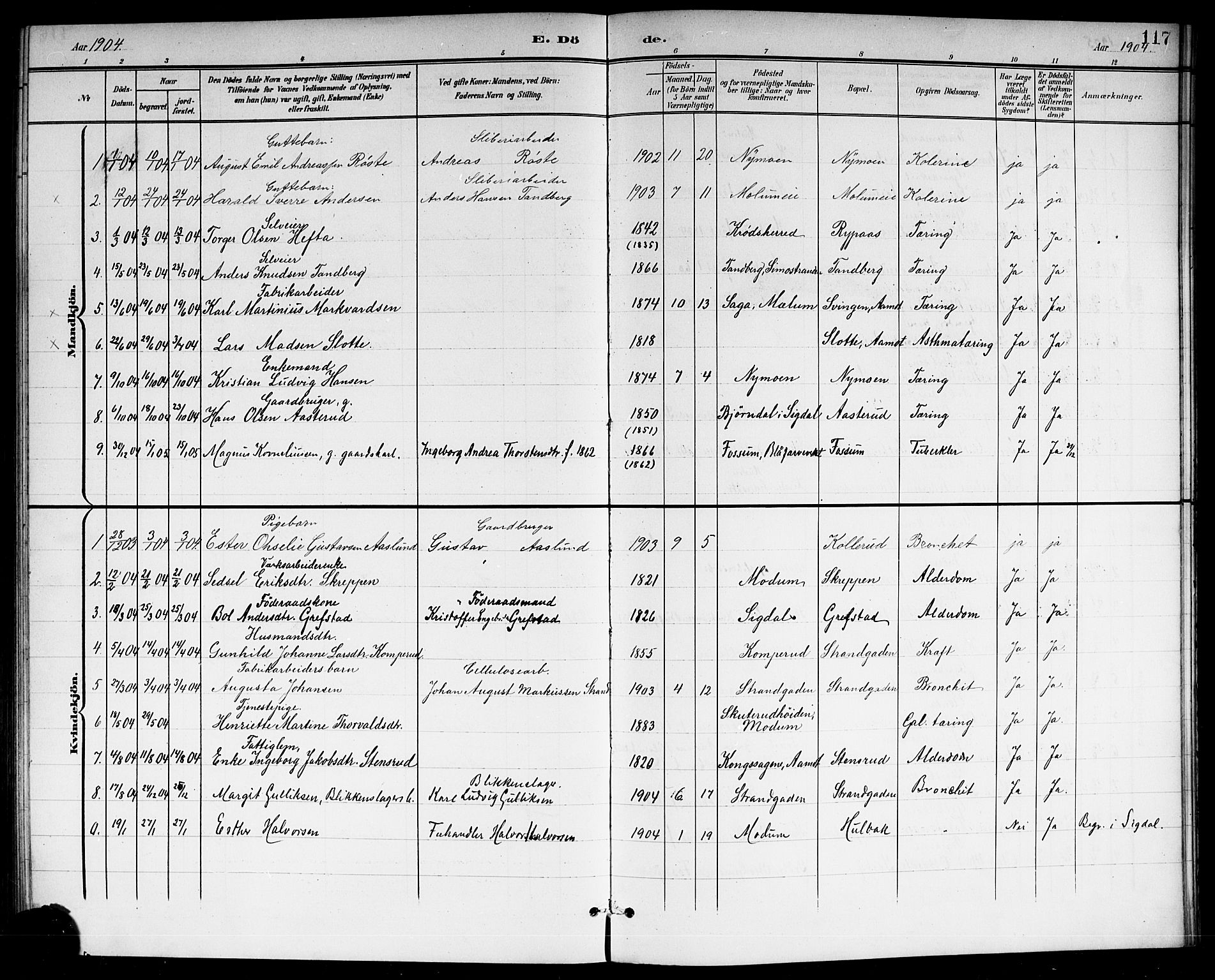 Modum kirkebøker, SAKO/A-234/G/Gc/L0001: Parish register (copy) no. III 1, 1901-1919, p. 117