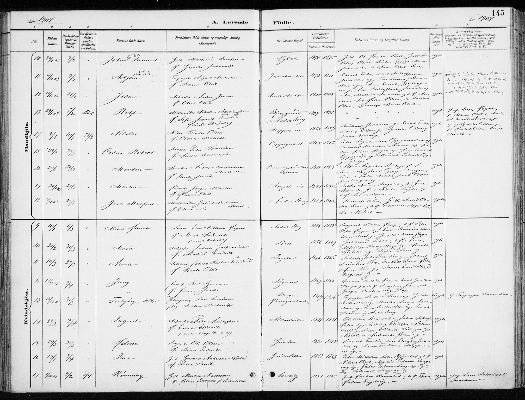 Løten prestekontor, AV/SAH-PREST-022/K/Ka/L0010: Parish register (official) no. 10, 1892-1907, p. 145