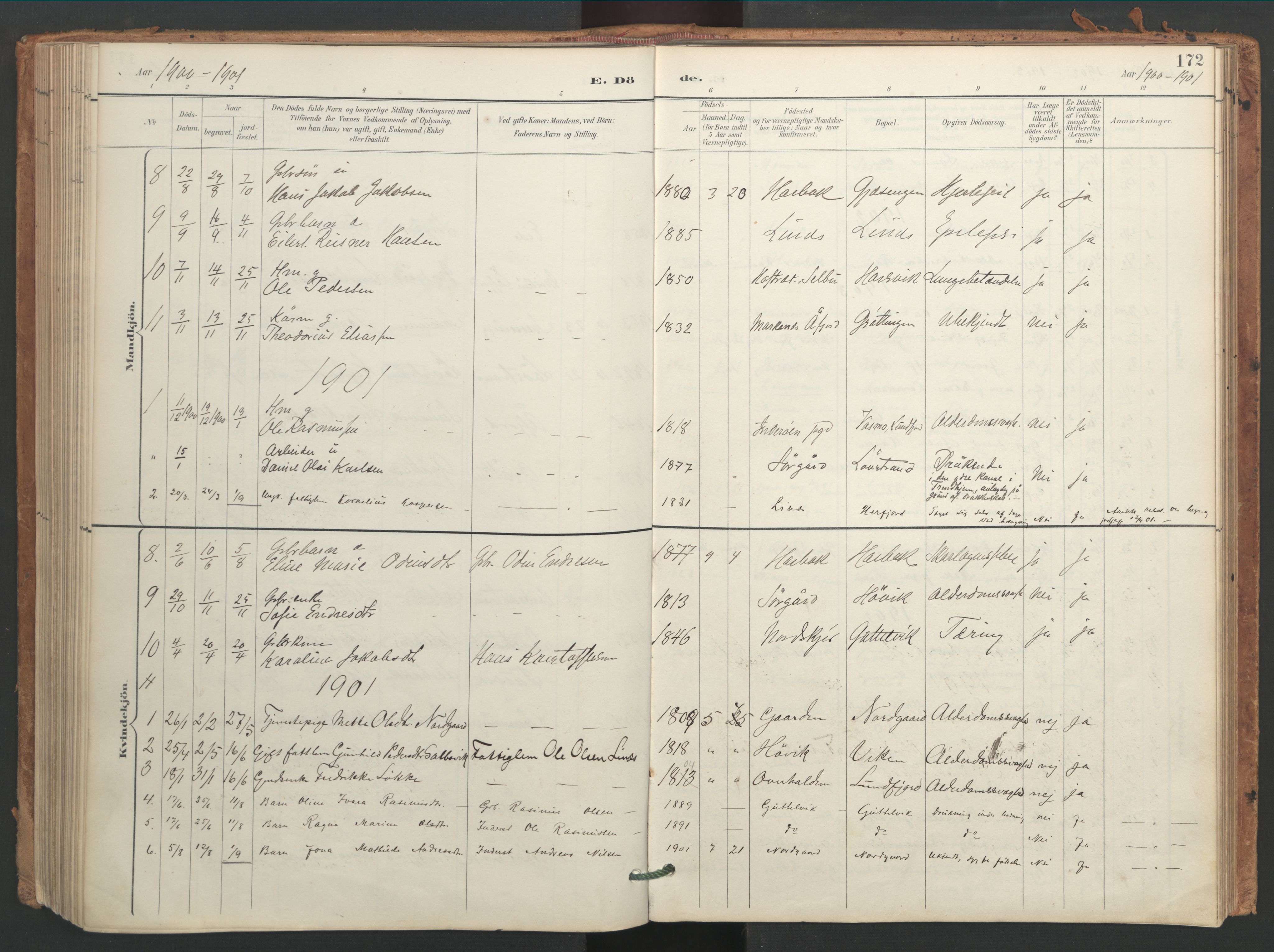 Ministerialprotokoller, klokkerbøker og fødselsregistre - Sør-Trøndelag, SAT/A-1456/656/L0693: Parish register (official) no. 656A02, 1894-1913, p. 172