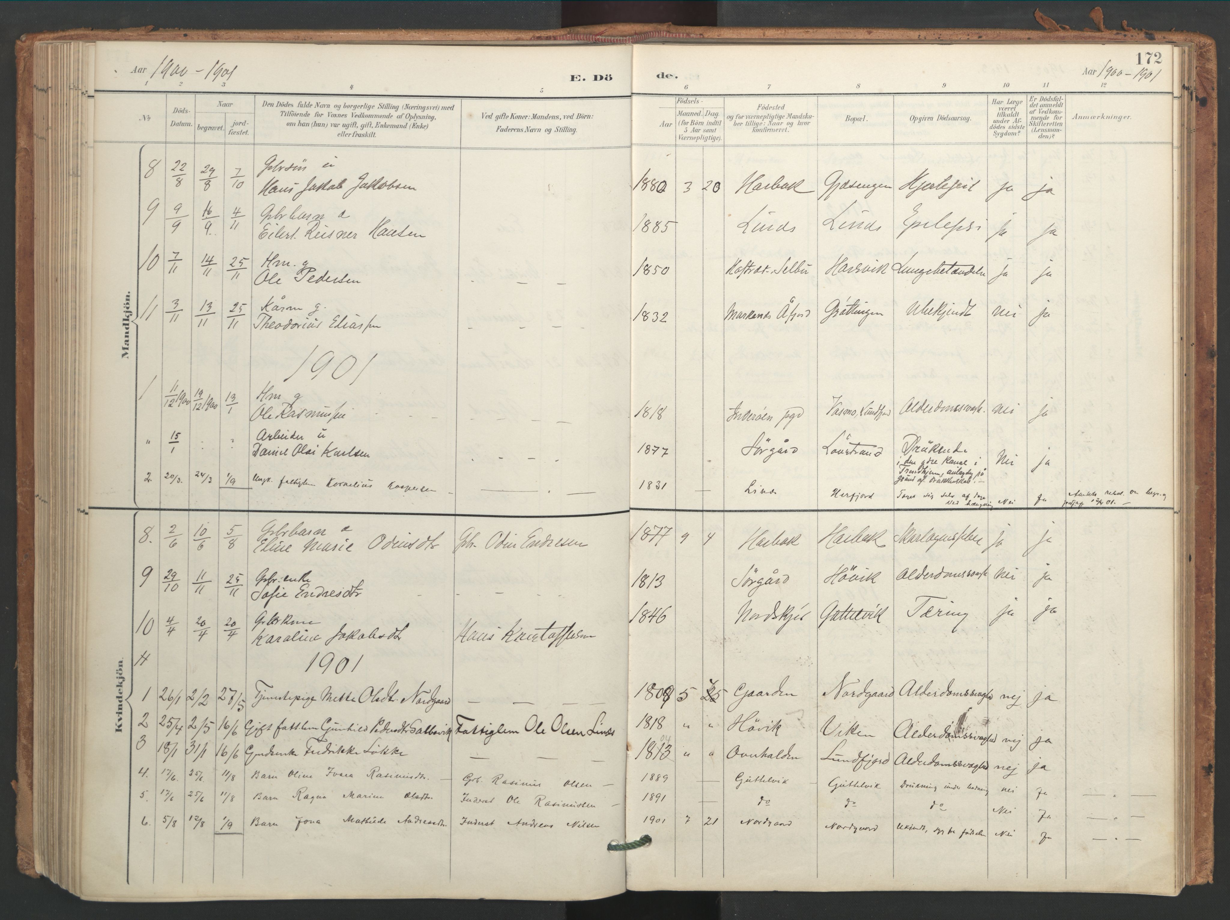 Ministerialprotokoller, klokkerbøker og fødselsregistre - Sør-Trøndelag, AV/SAT-A-1456/656/L0693: Parish register (official) no. 656A02, 1894-1913, p. 172