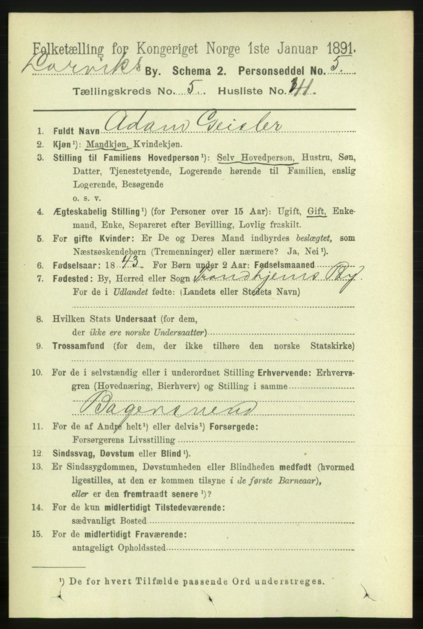 RA, 1891 census for 0707 Larvik, 1891, p. 6414