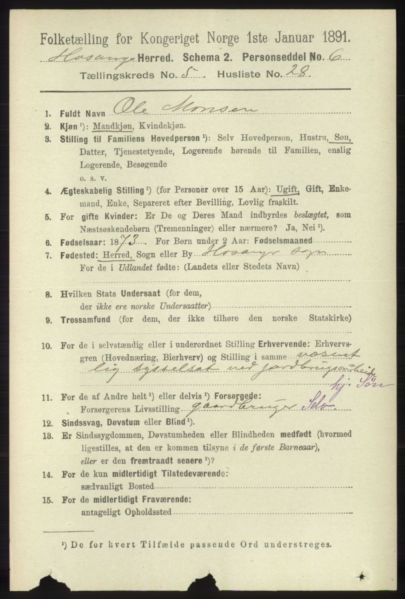 RA, 1891 census for 1253 Hosanger, 1891, p. 1987