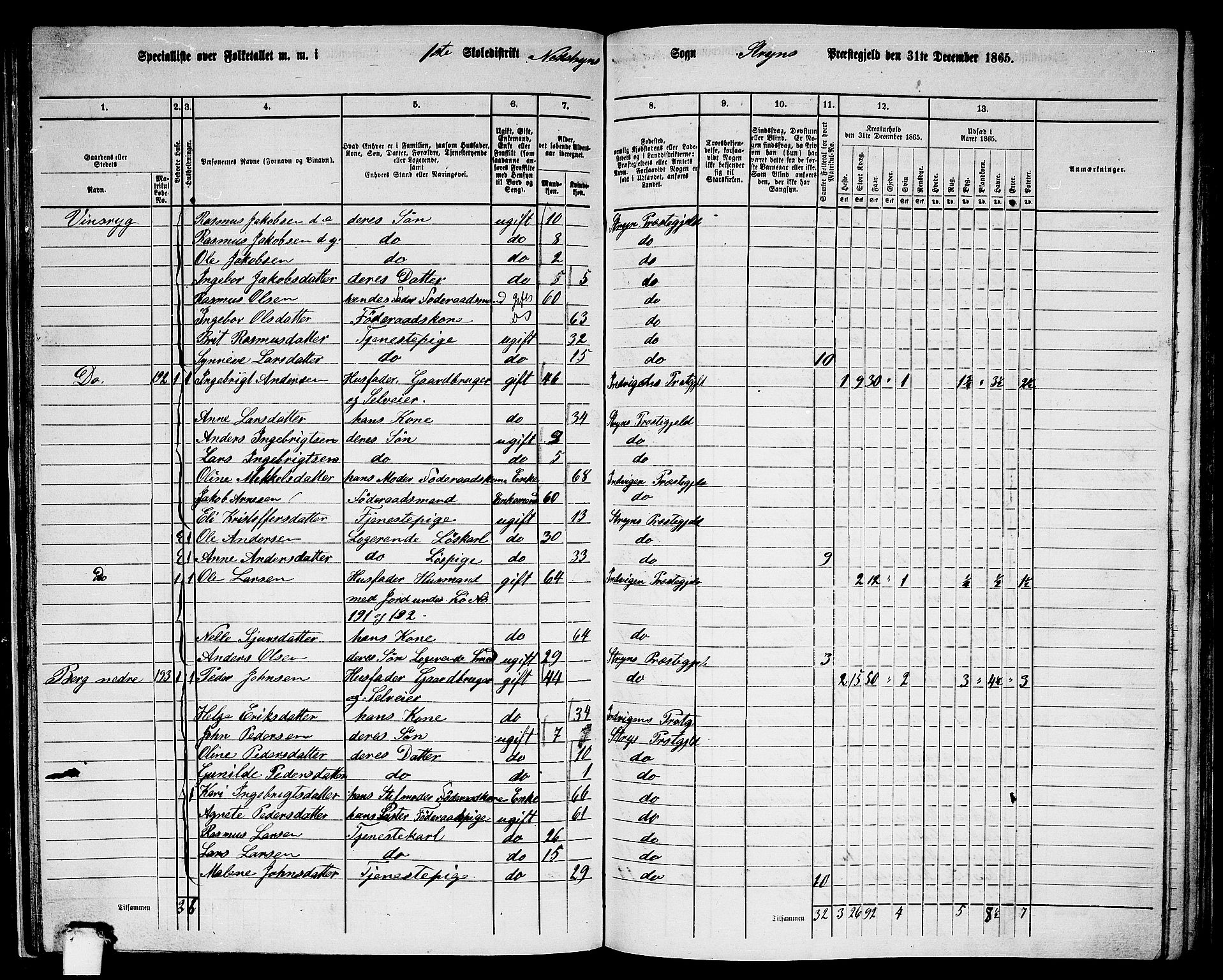 RA, 1865 census for Stryn, 1865, p. 48