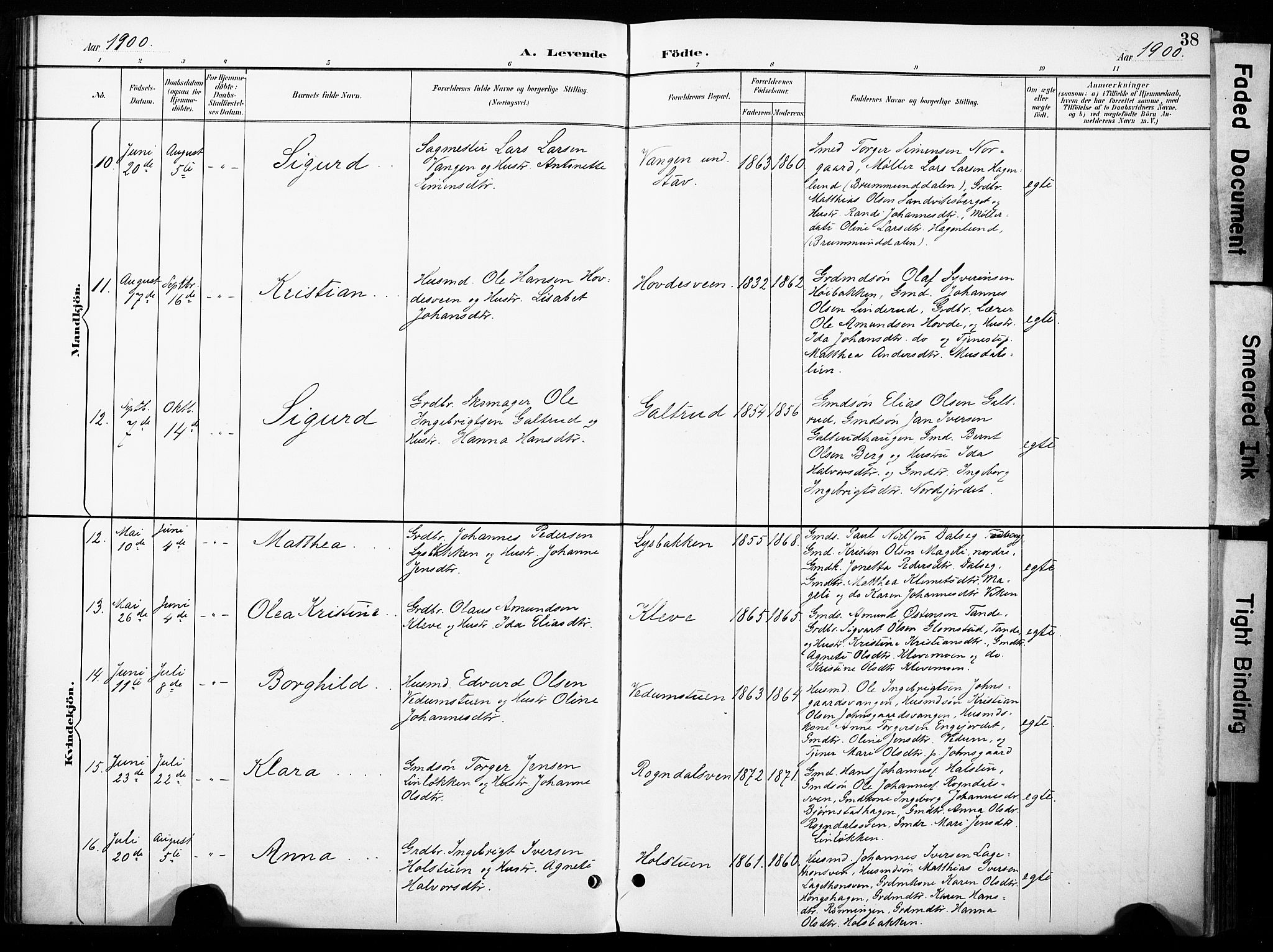 Øyer prestekontor, AV/SAH-PREST-084/H/Ha/Haa/L0011: Parish register (official) no. 11, 1894-1905, p. 38