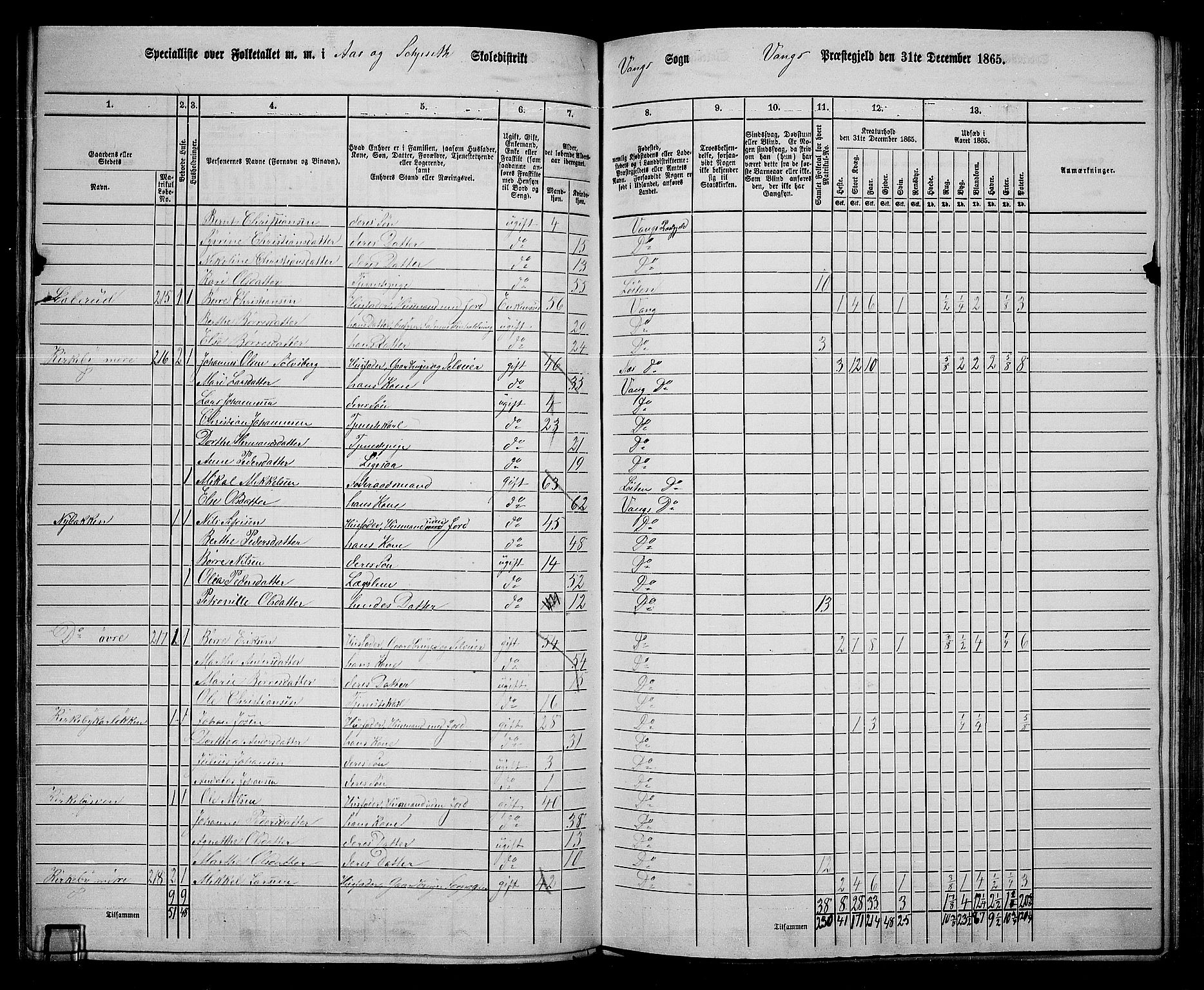 RA, 1865 census for Vang/Vang og Furnes, 1865, p. 246