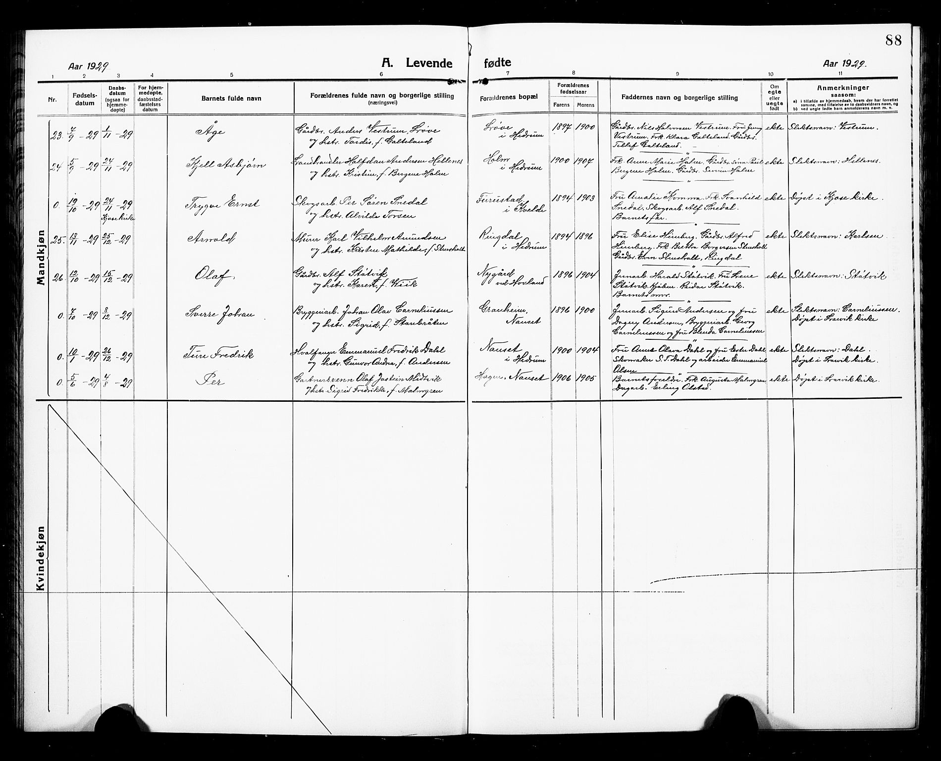 Hedrum kirkebøker, SAKO/A-344/G/Ga/L0005: Parish register (copy) no. I 5, 1916-1930, p. 88