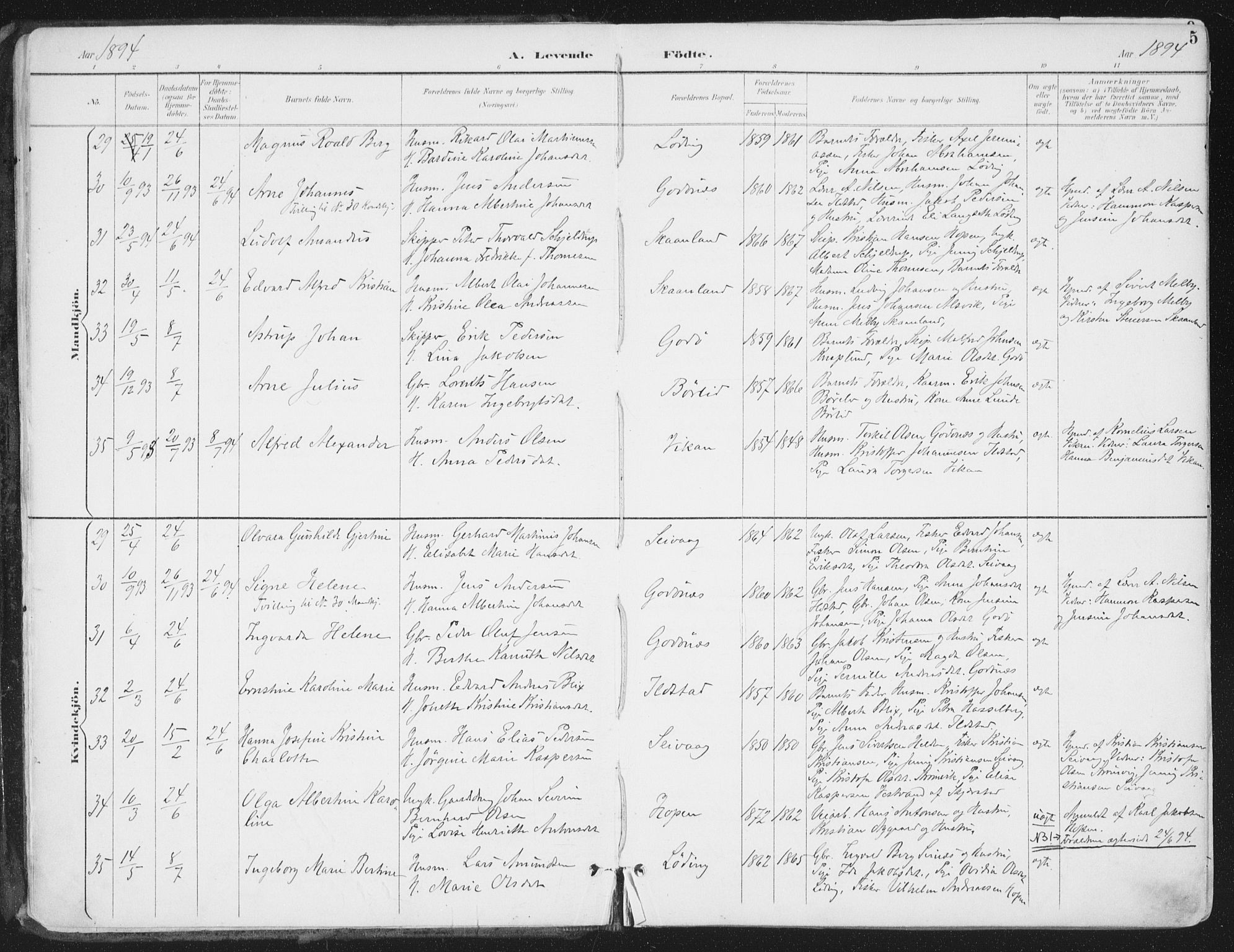 Ministerialprotokoller, klokkerbøker og fødselsregistre - Nordland, SAT/A-1459/802/L0055: Parish register (official) no. 802A02, 1894-1915, p. 5