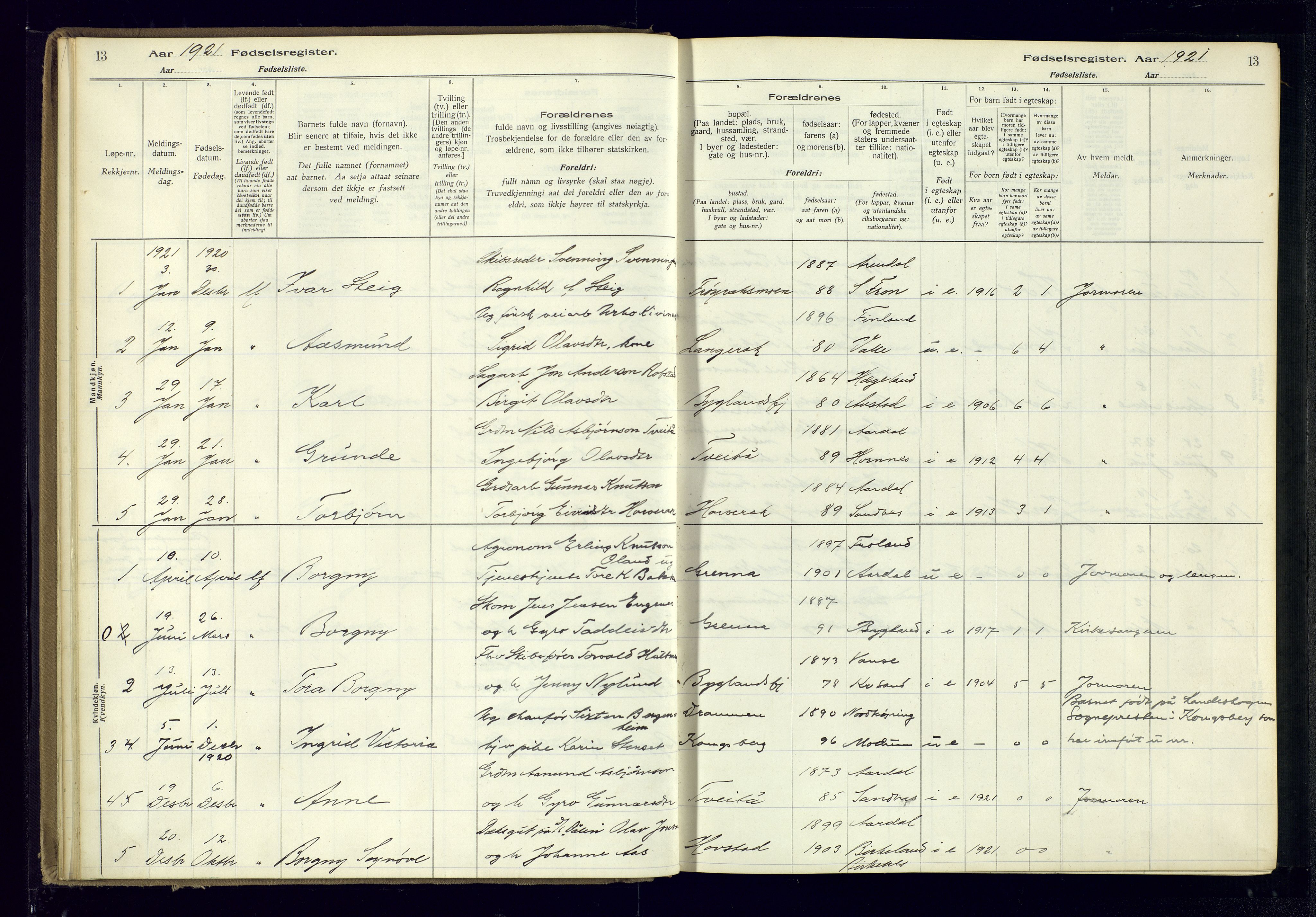 Bygland sokneprestkontor, AV/SAK-1111-0006/J/Ja/L0004: Birth register no. II.4.5, 1916-1983, p. 13